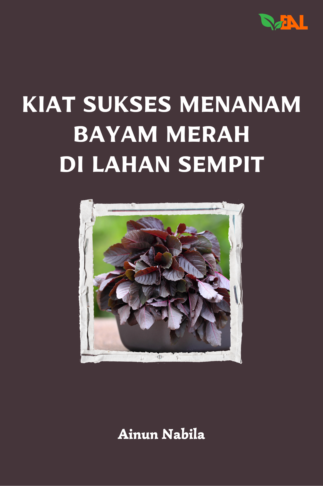 Kiat Sukses Menanam Bayam Merah di Lahan Sempit