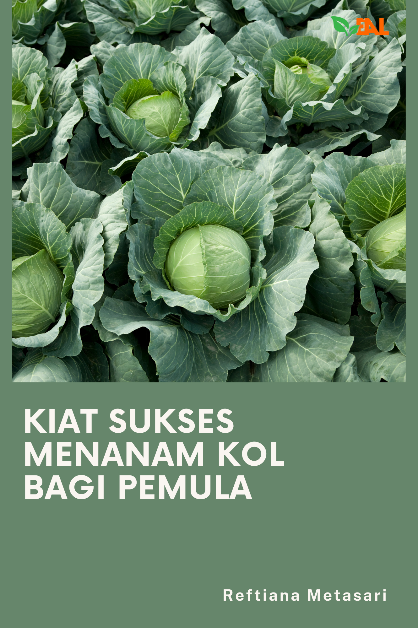 Kiat Sukses Menanam Kol Bagi Pemula