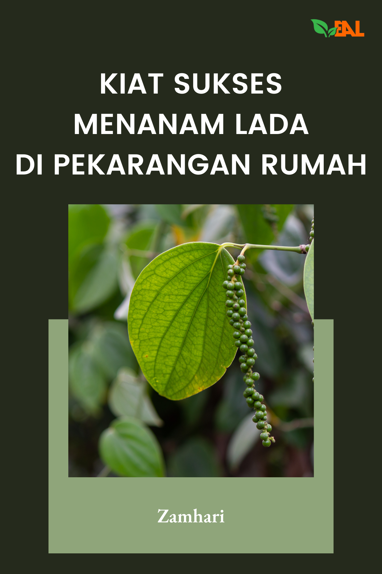 Kiat Sukses Menanam Lada di Pekarangan Rumah
