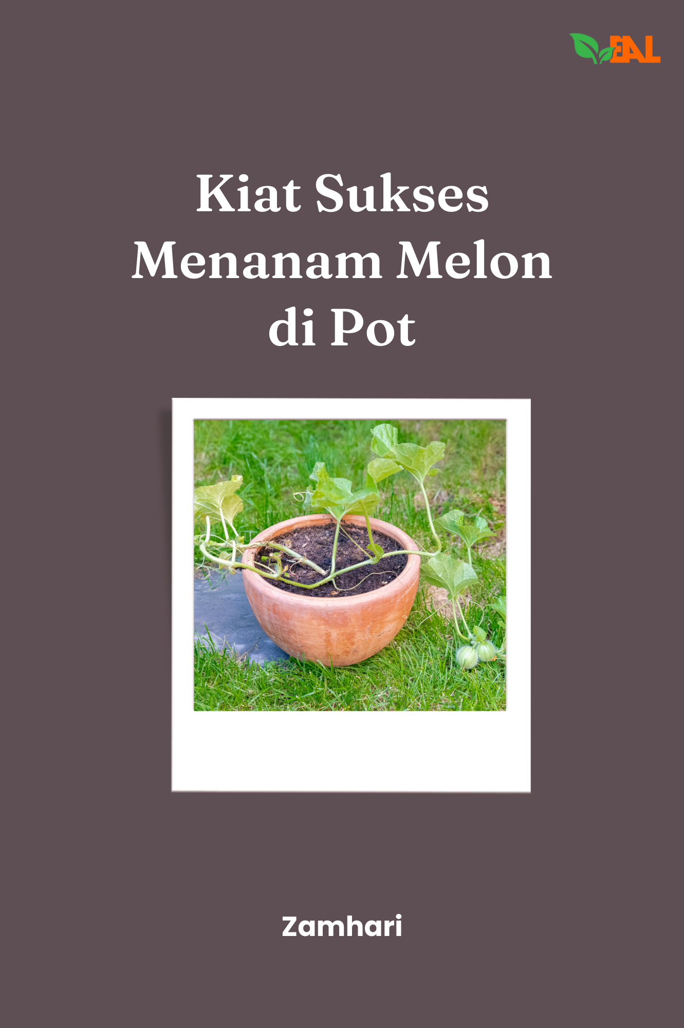 Kiat Sukses Menanam Melon di Pot