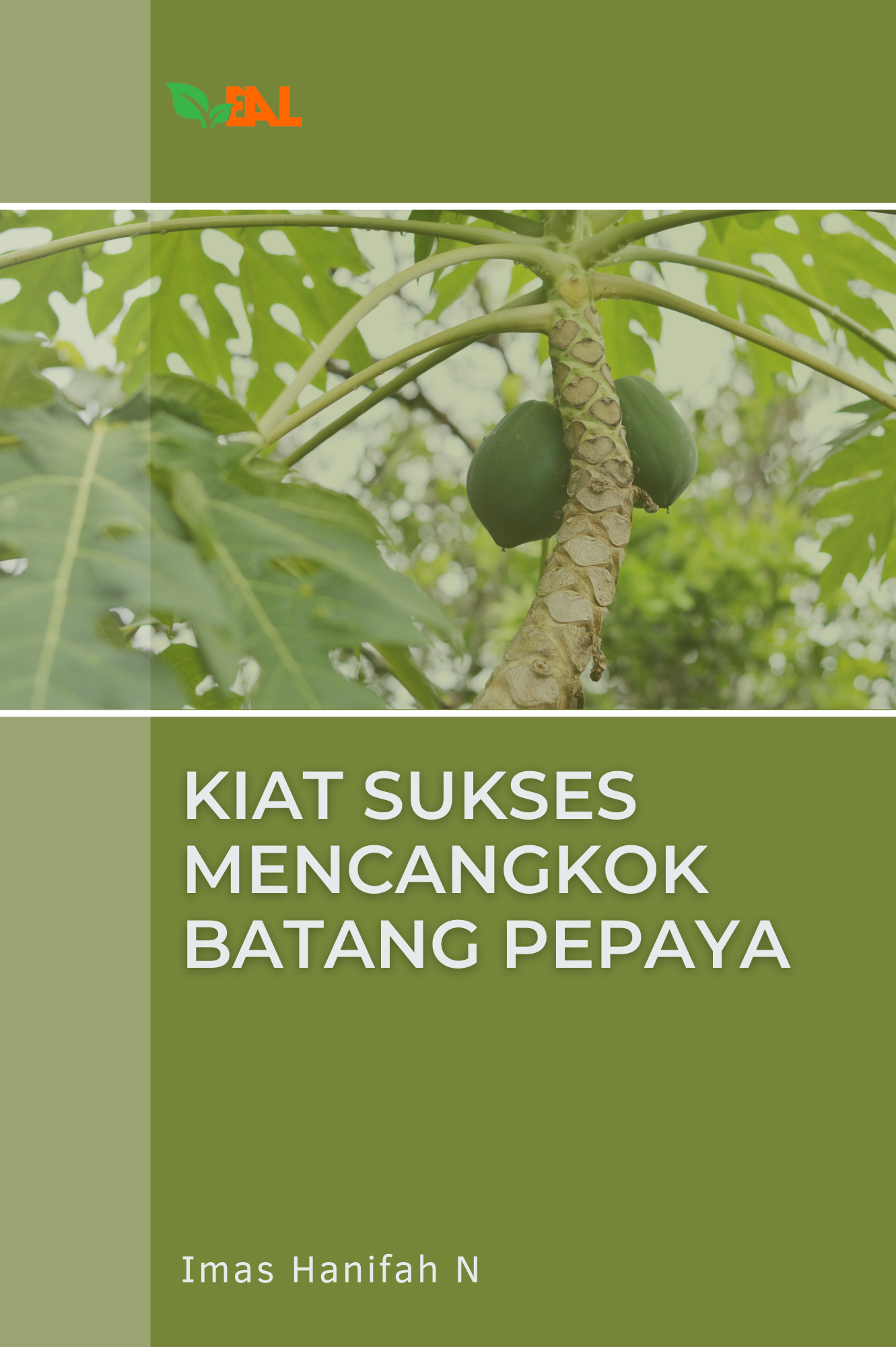 Kiat Sukses Mencangkok Batang Pepaya (salin)
