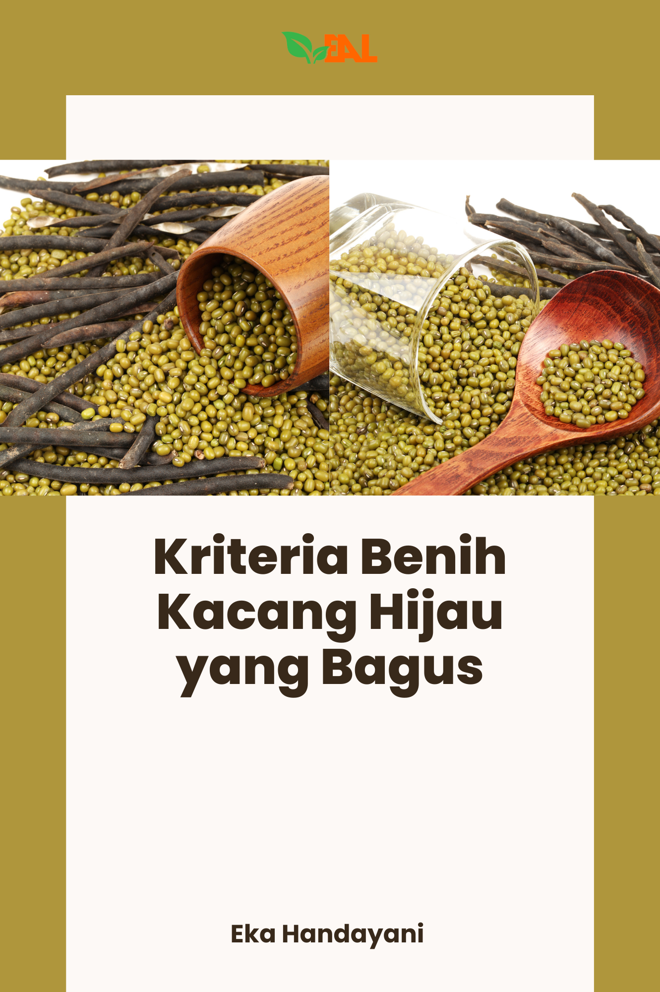 Kriteria Benih Kacang Hijau yang Bagus