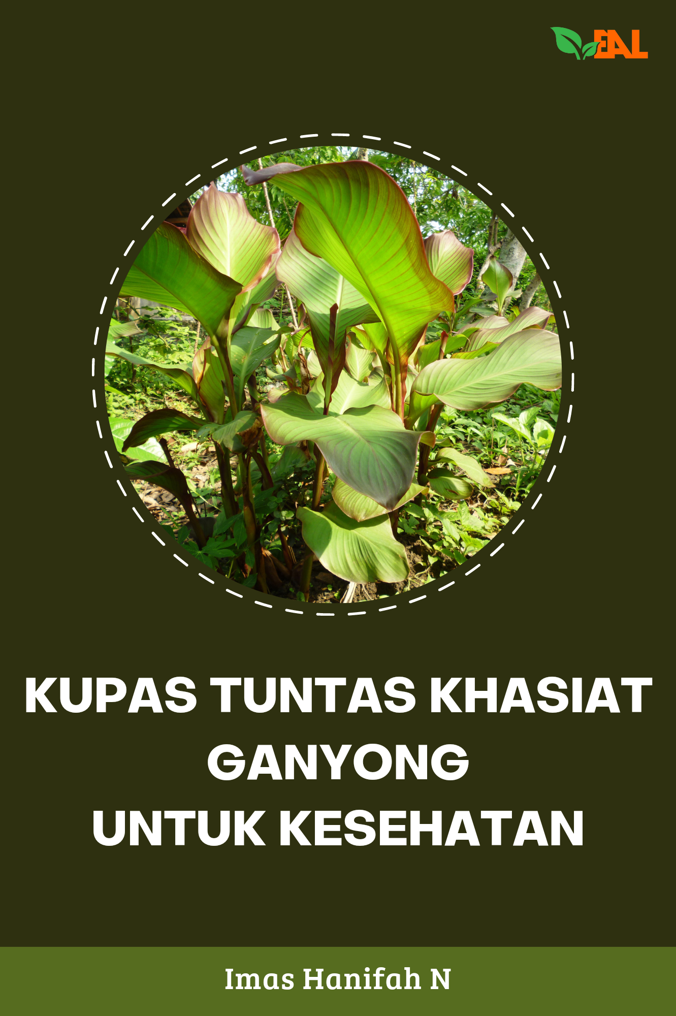 Kupas Tuntas Khasiat Ganyong untuk Kesehatan