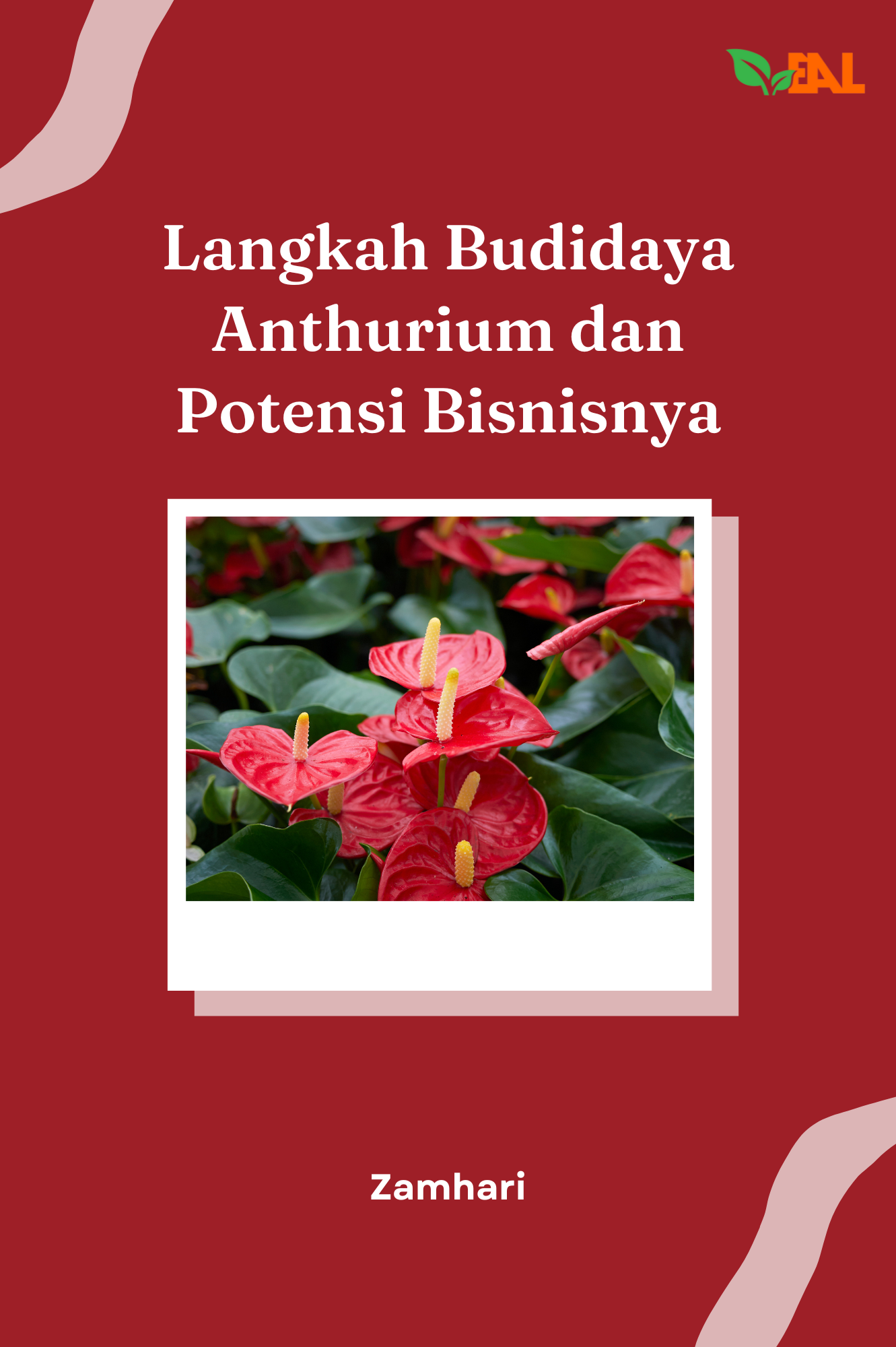 Langkah Budidaya Anthurium dan Potensi Bisnisnya