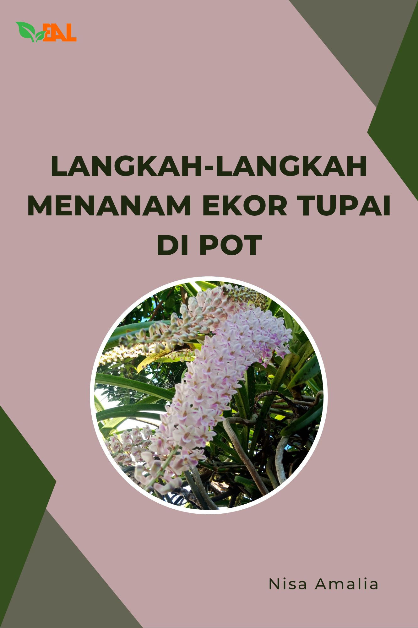 Langkah-Langkah Menanam Ekor Tupai di Pot