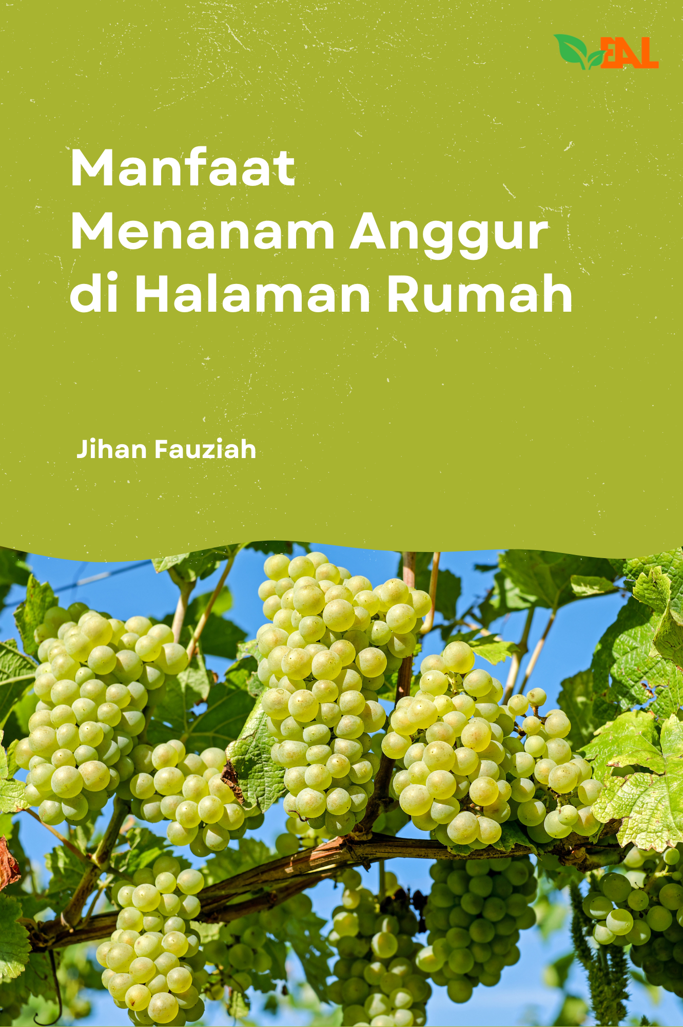 Manfaat Menanam Anggur di Halaman Rumah