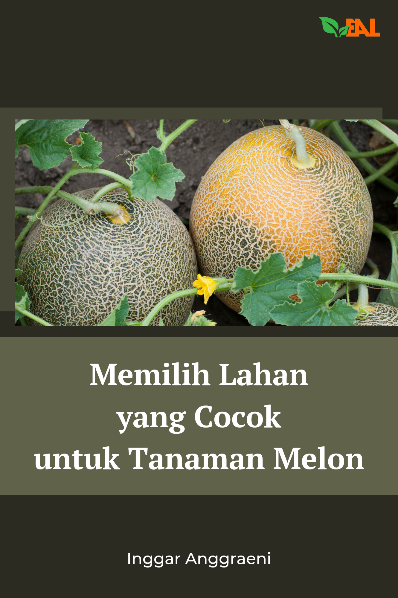 Memilih Lahan yang Cocok untuk Tanaman Melon