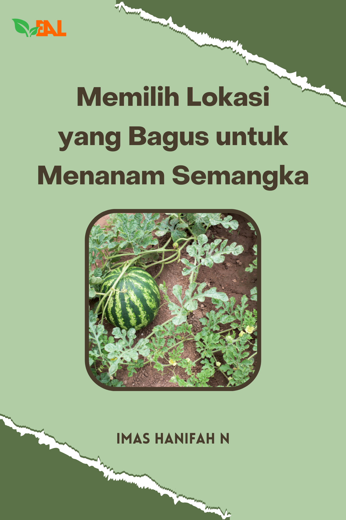 Memilih Lokasi yang Bagus untuk Menanam Semangka