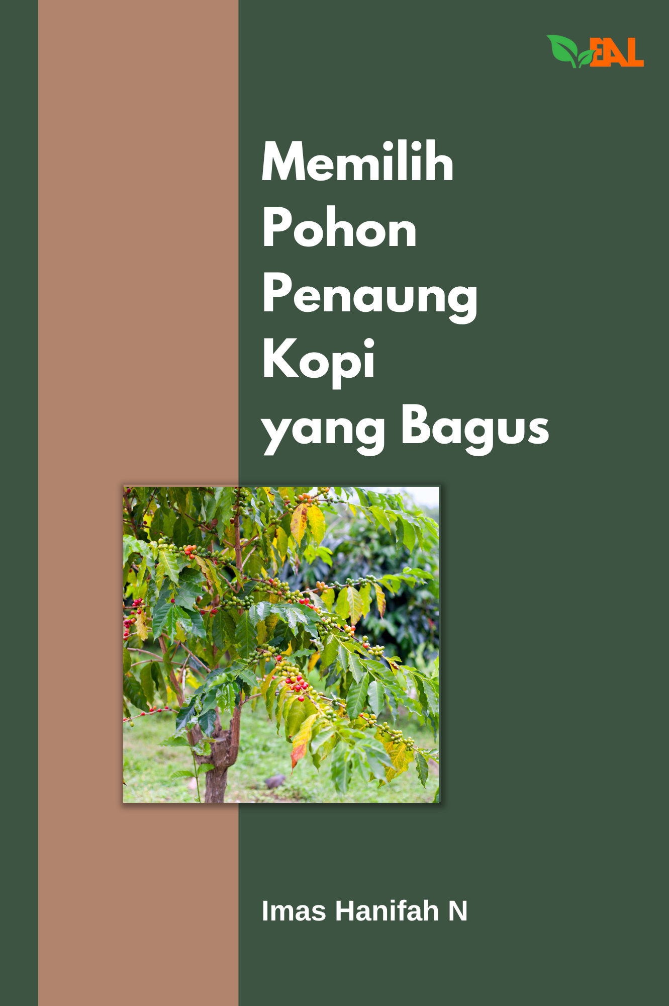 Memilih Pohon Penaung Kopi yang Bagus