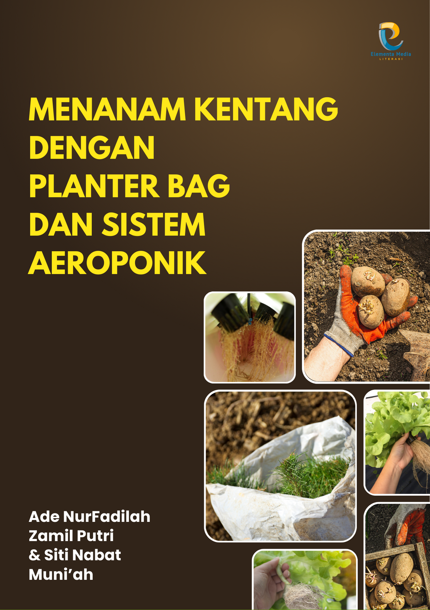 Menanam Kentang dengan Planter Bag dan Sistem Aeroponik