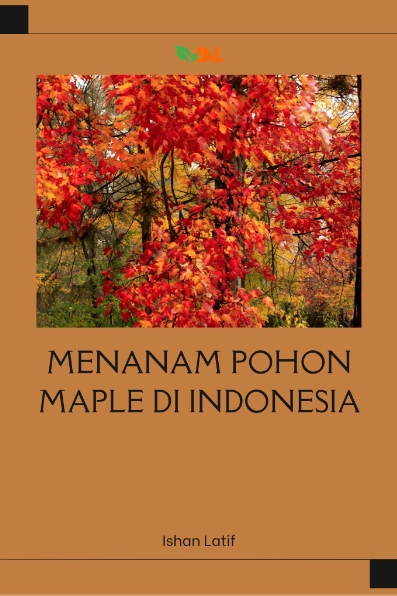 Menanam Pohon Maple di Indonesia
