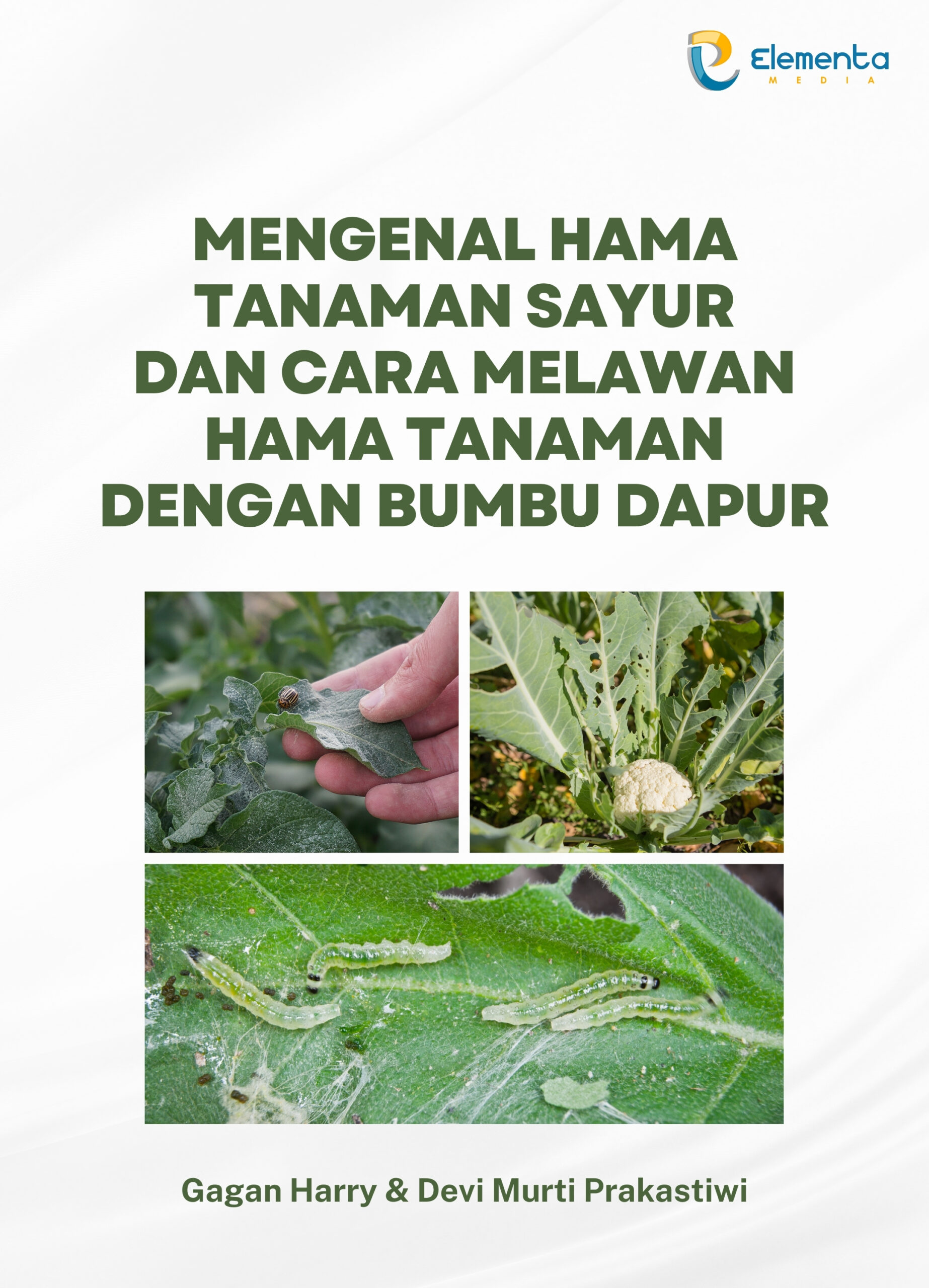 Mengenal Hama Tanaman Sayur dan Cara Melawan Hama Tanaman dengan Bumbu Dapur