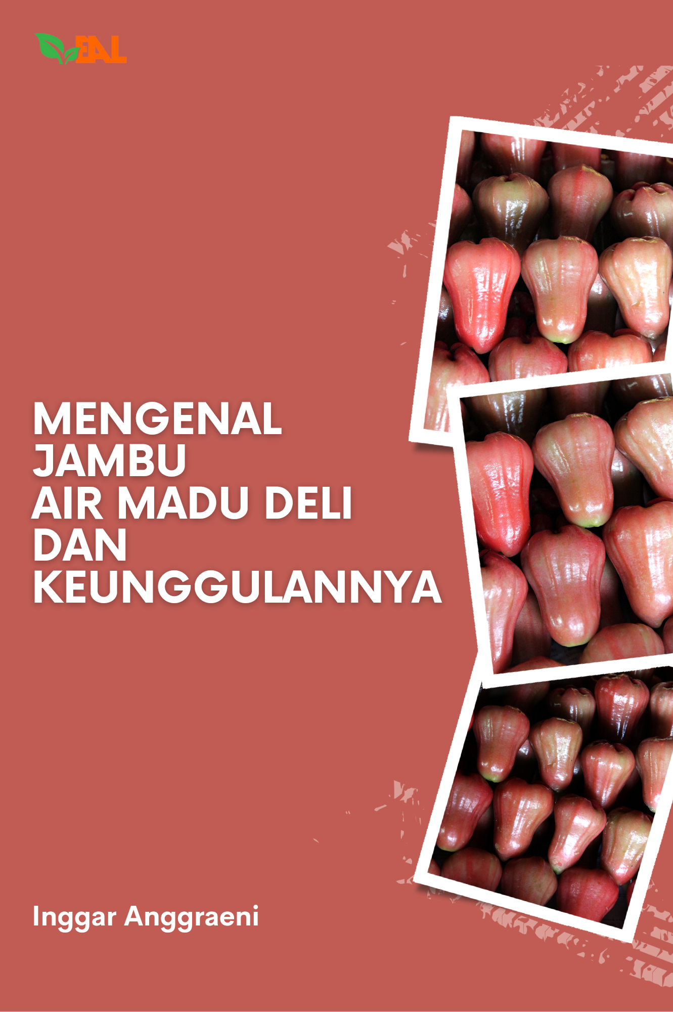 Mengenal Jambu Air Madu Deli dan Keunggulannya