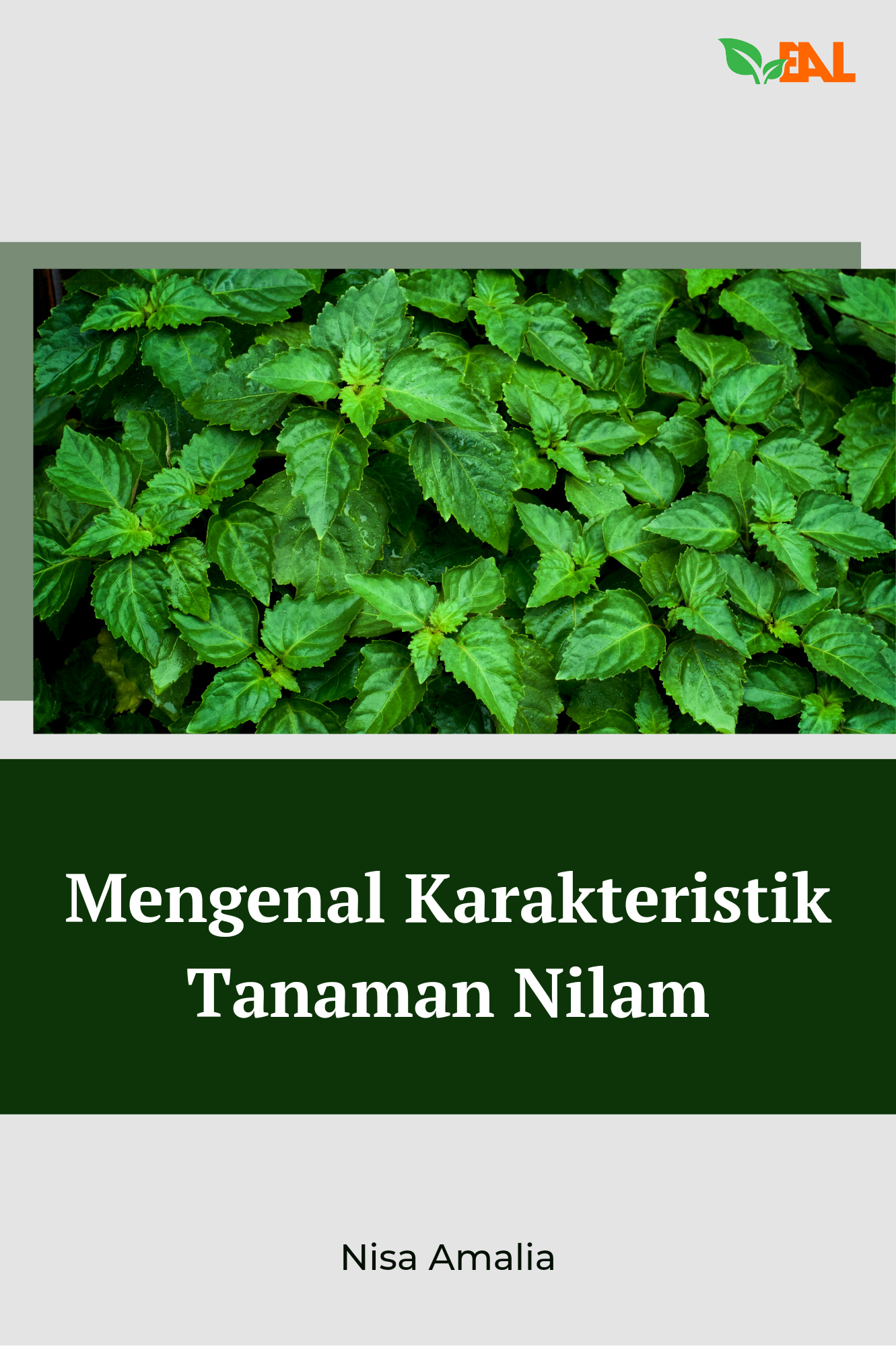 Mengenal Karakteristik Tanaman Nilam