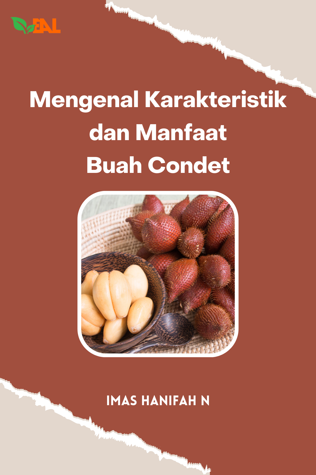 Mengenal Karakteristik dan Manfaat Buah Condet