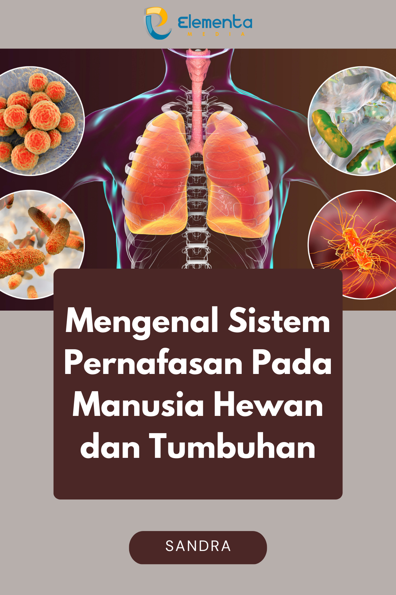 Mengenal Sistem Pernafasan pada Manusia Hewan dan Tumbuhan
