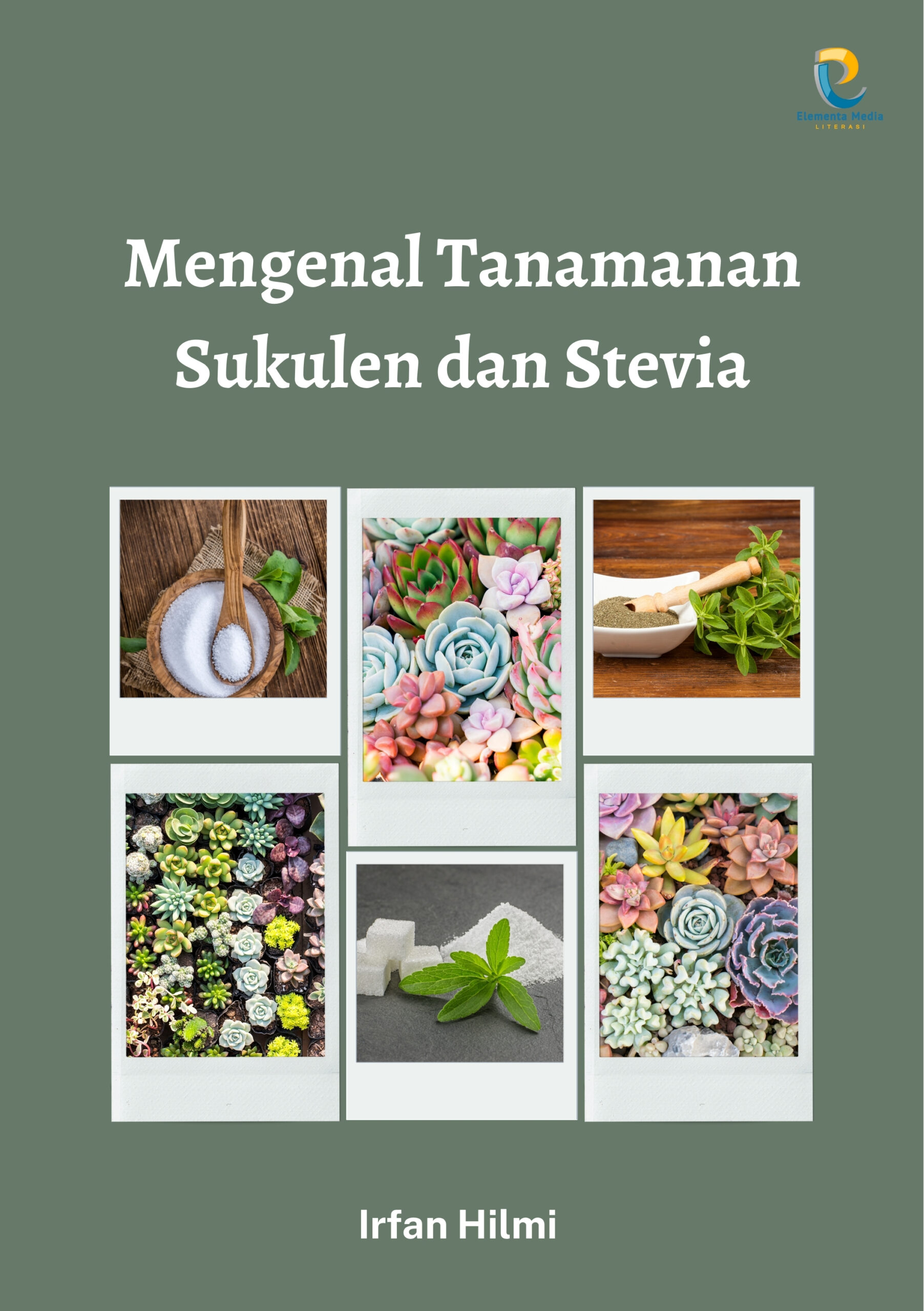 Mengenal Tanamanan Sukulen dan Stevia