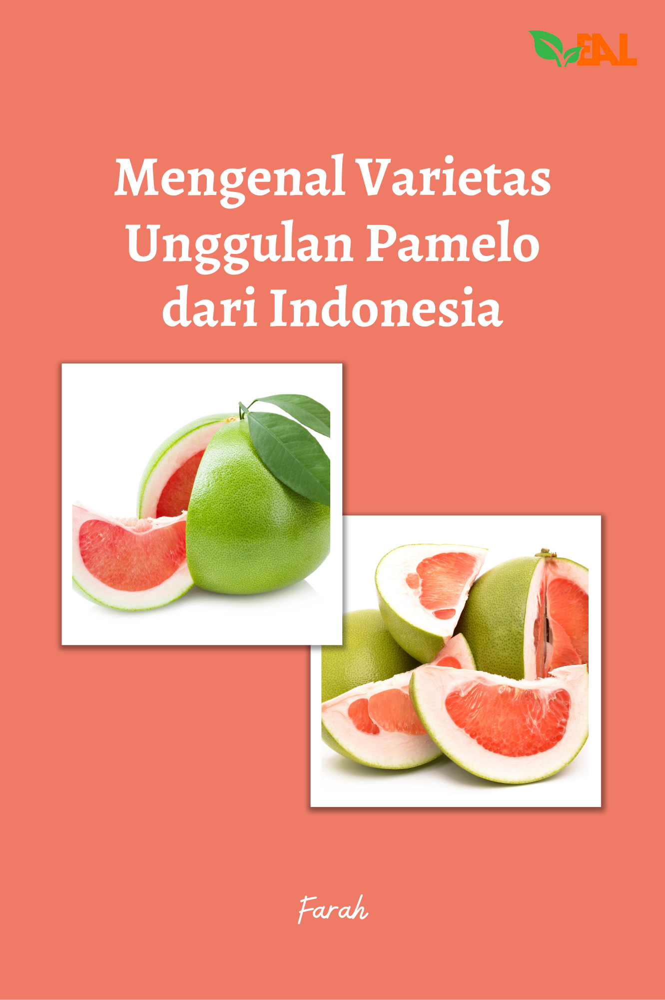 Mengenal Varietas Unggulan Pamelo dari Indonesia
