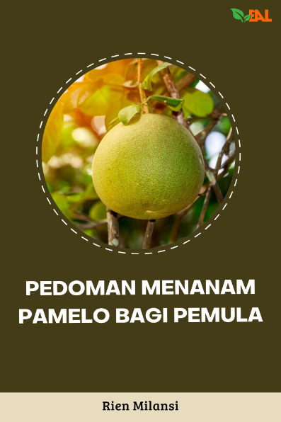 Pedoman Menanam Pamelo Bagi Pemula