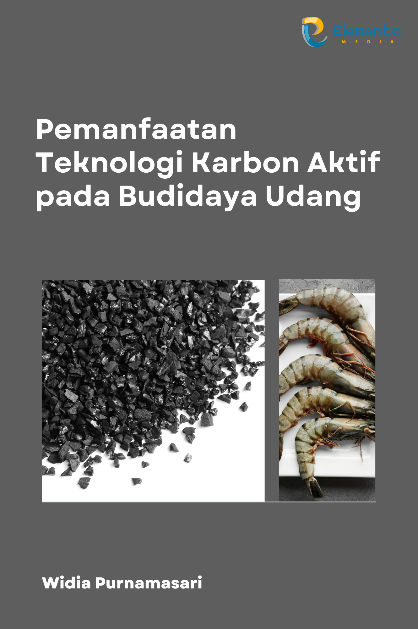 Pemanfaatan Teknologi Karbon Aktif pada Budidaya Udang