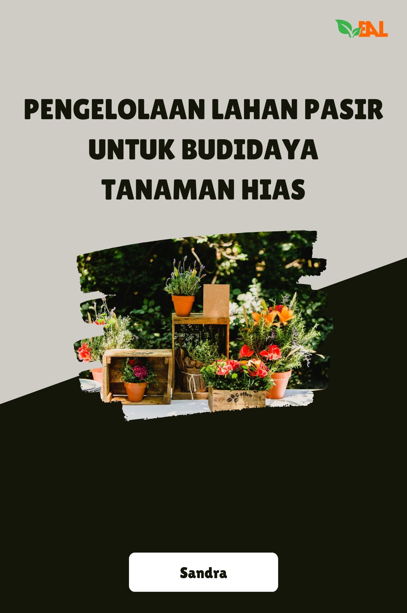 Pengelolaan Lahan Pasir untuk Budidaya Tanaman Hias