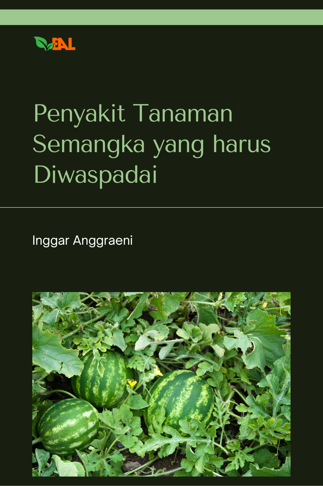 Penyakit Tanaman Semangka yang Harus Diwaspadai