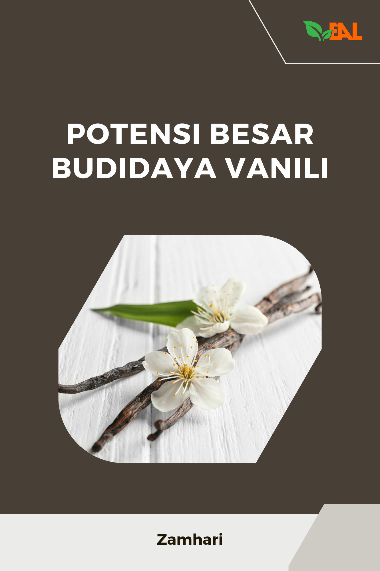 Potensi Besar Budidaya Vanili