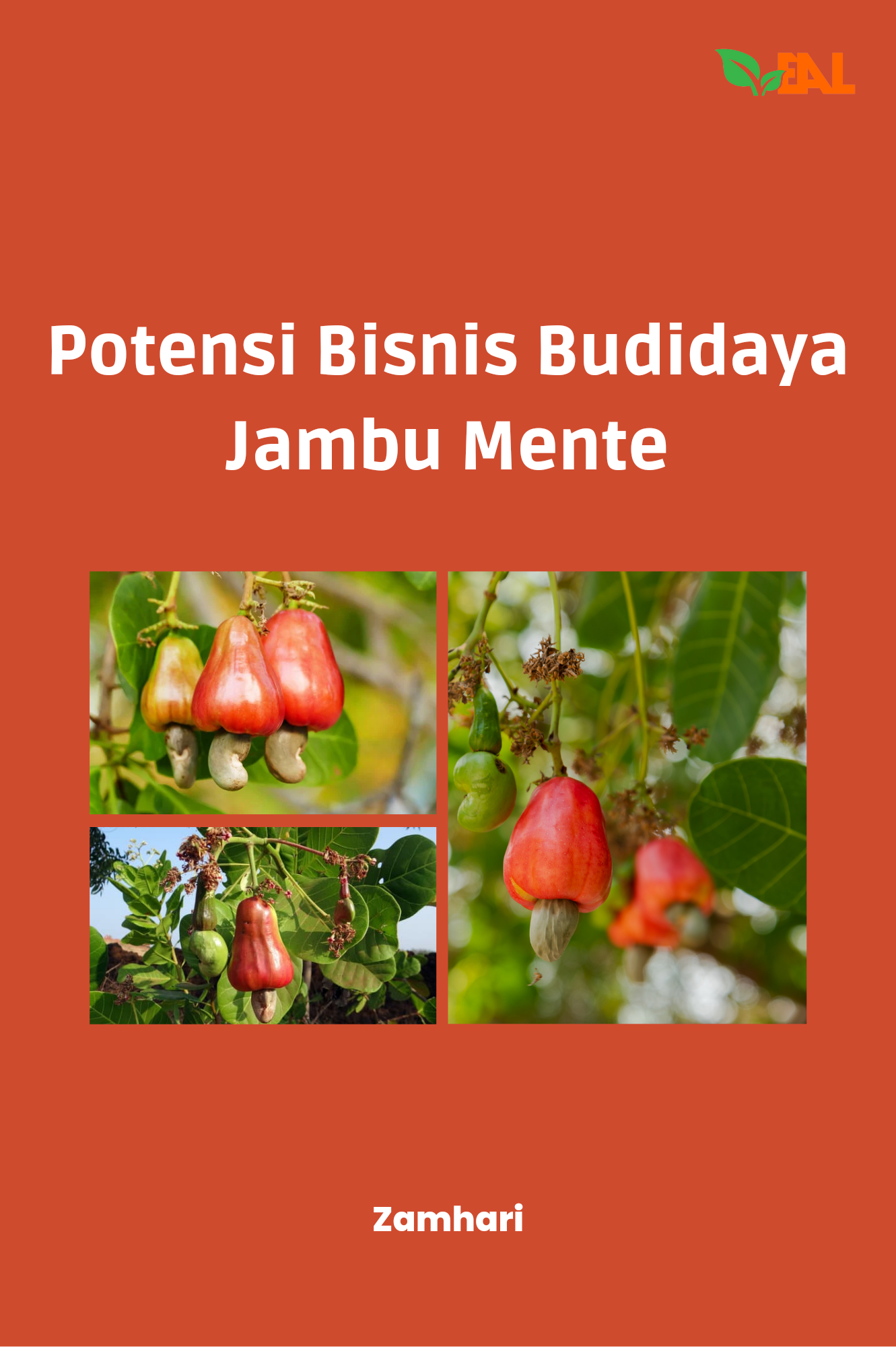 Potensi Bisnis Budidaya Jambu Mente