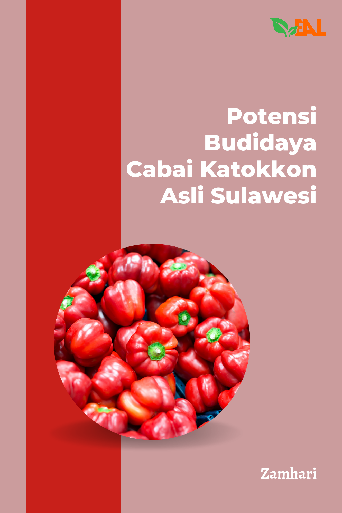 Potensi Budidaya Cabai Katokkon Asli Sulawesi