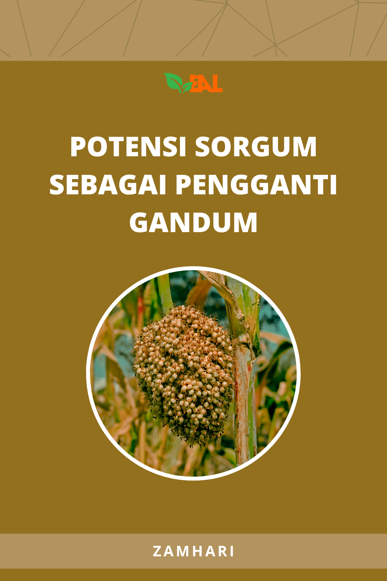 Potensi Sorgum Sebagai Pengganti Gandum