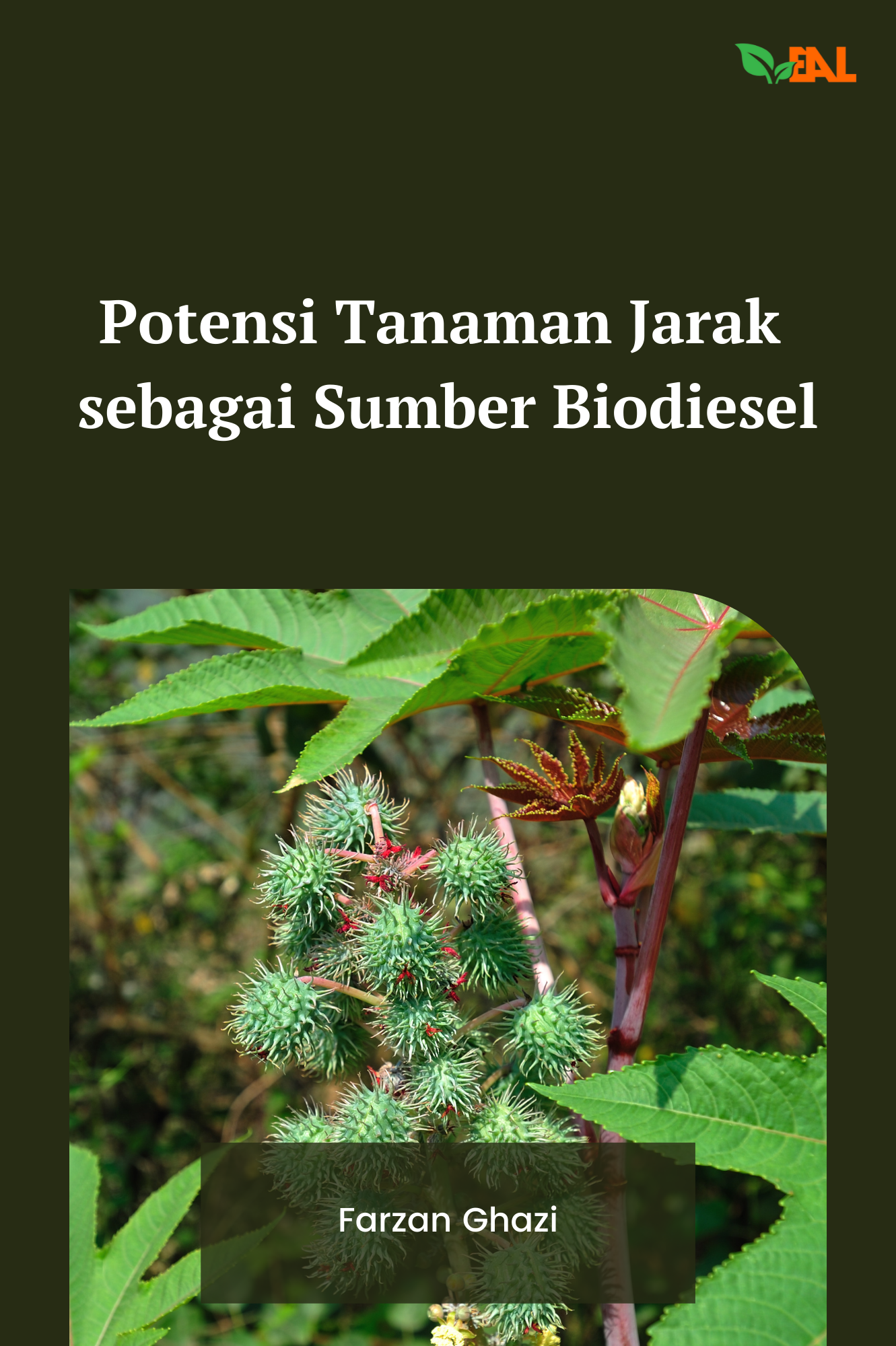 Potensi Tanaman Jarak Sebagai Sumber Biodiesel