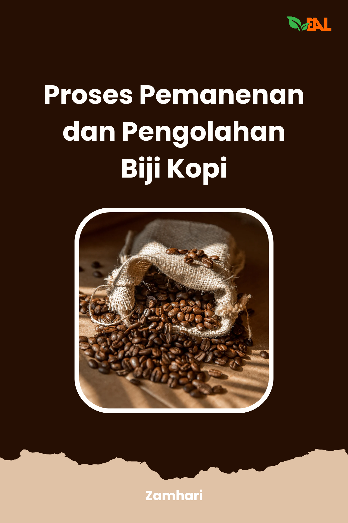 Proses Pemanenan dan Pengolahan Biji Kopi
