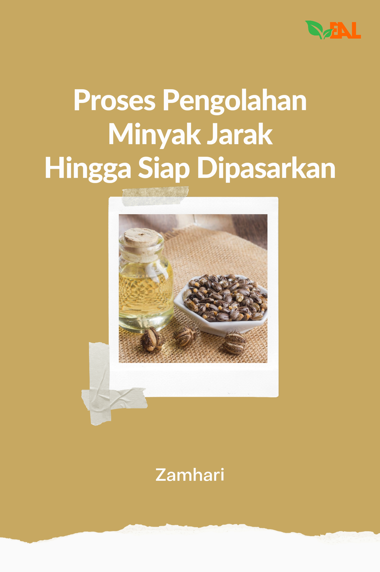 Proses Pengolahan Minyak Jarak Hingga Siap Dipasarkan