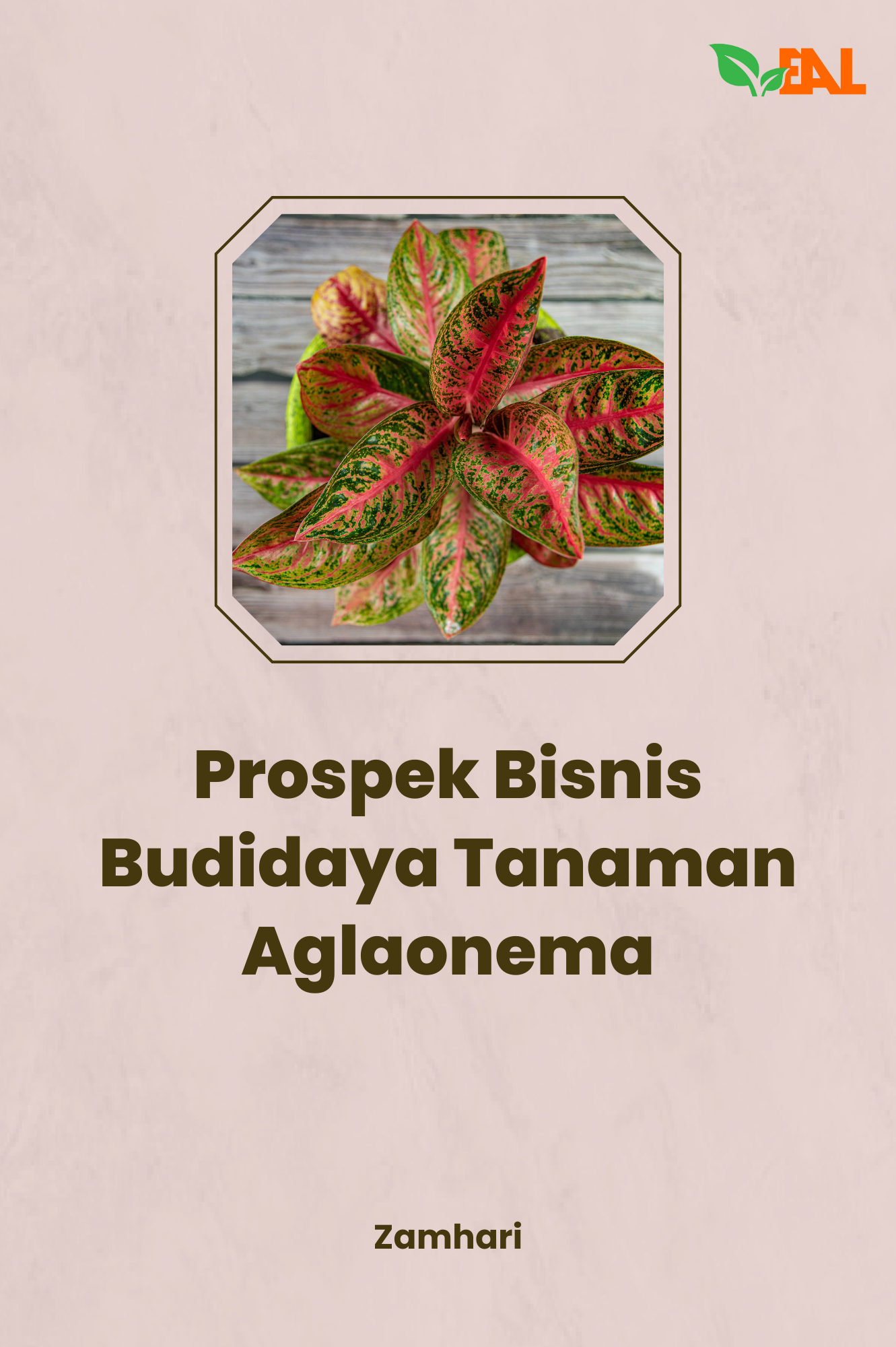 Prospek Bisnis Budidaya Tanaman Aglaonema