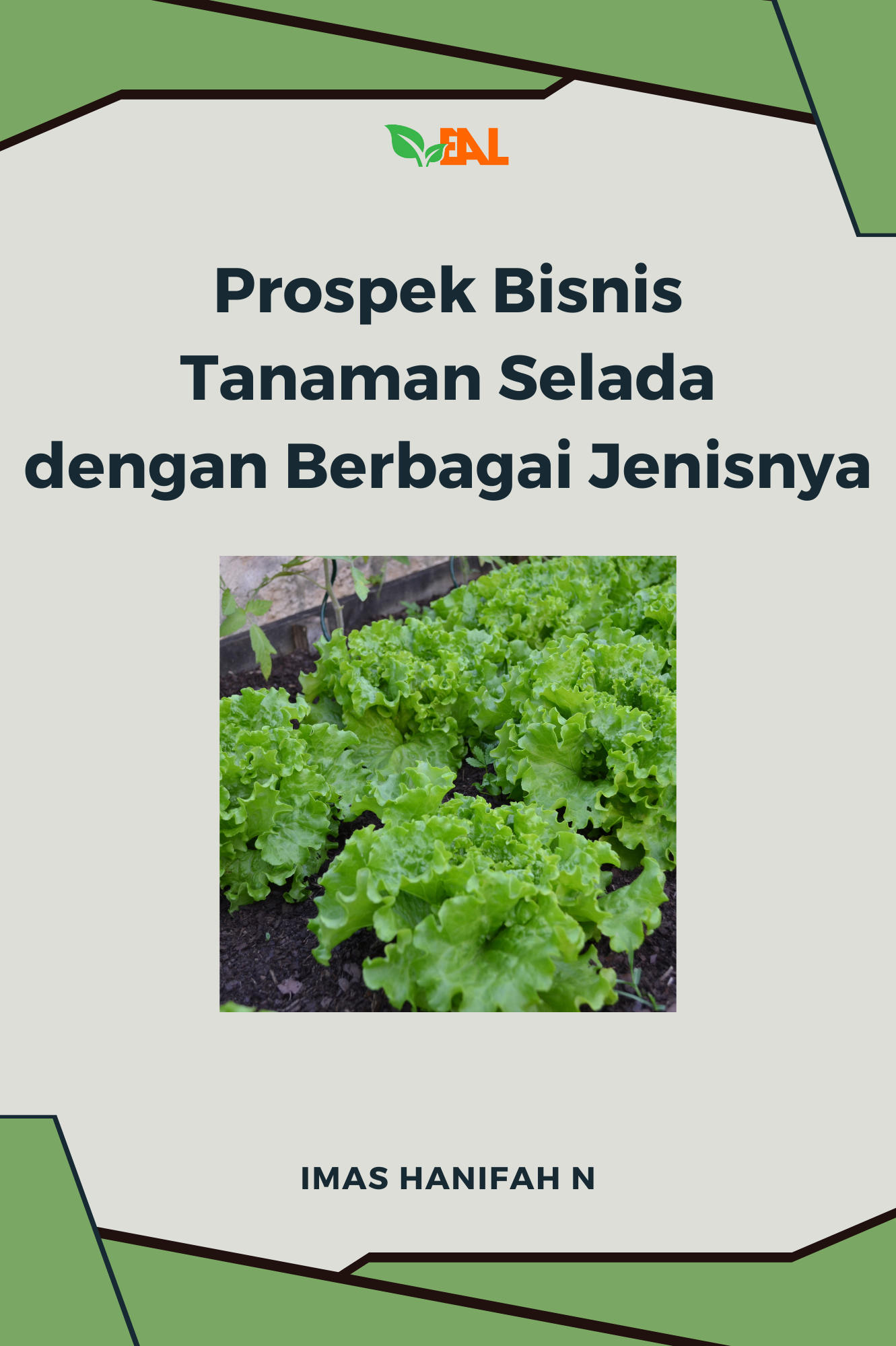 Prospek Bisnis Tanaman Selada dengan Berbagai Jenisnya