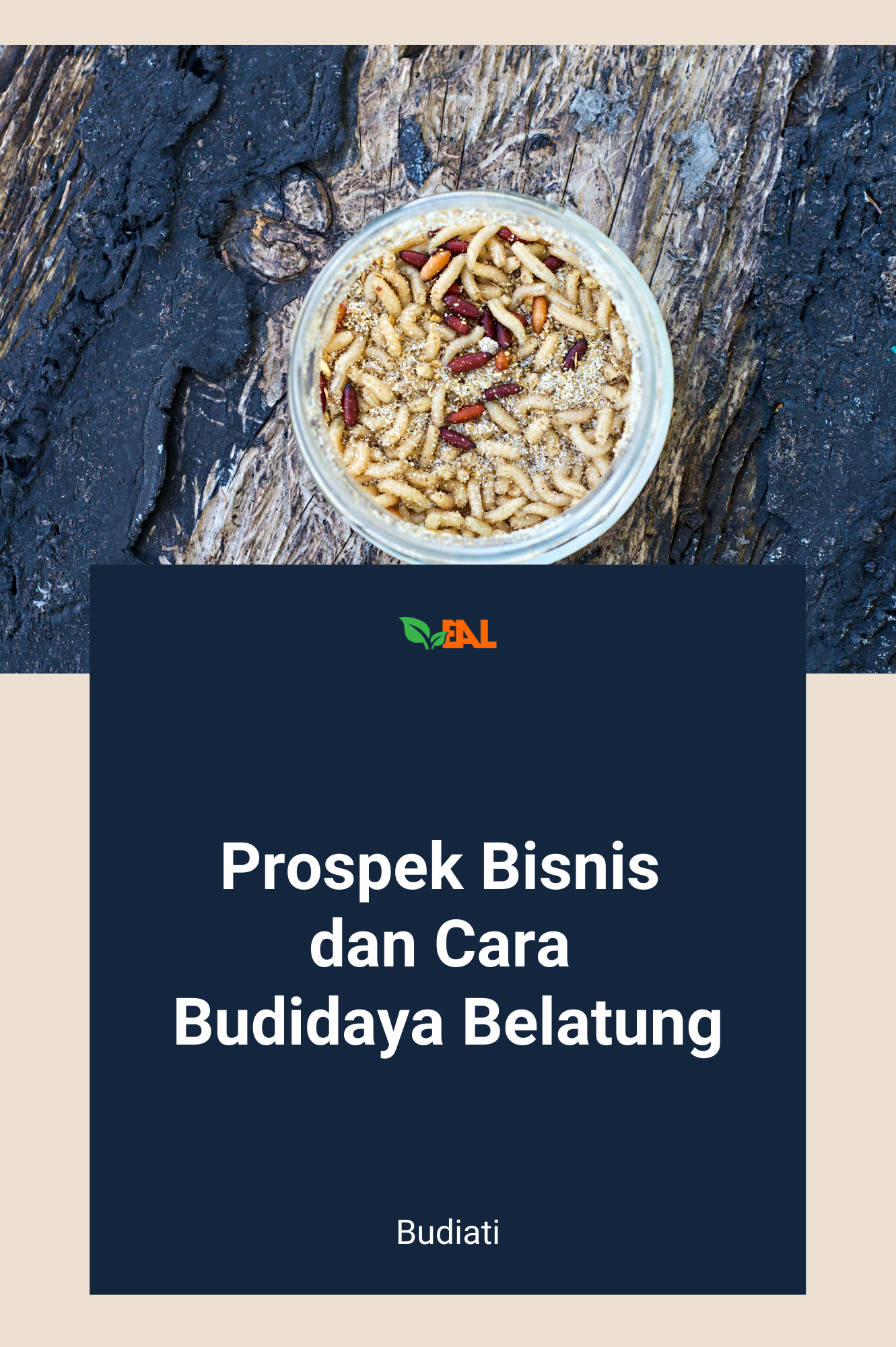 Prospek Bisnis dan Cara Budidaya Belatung