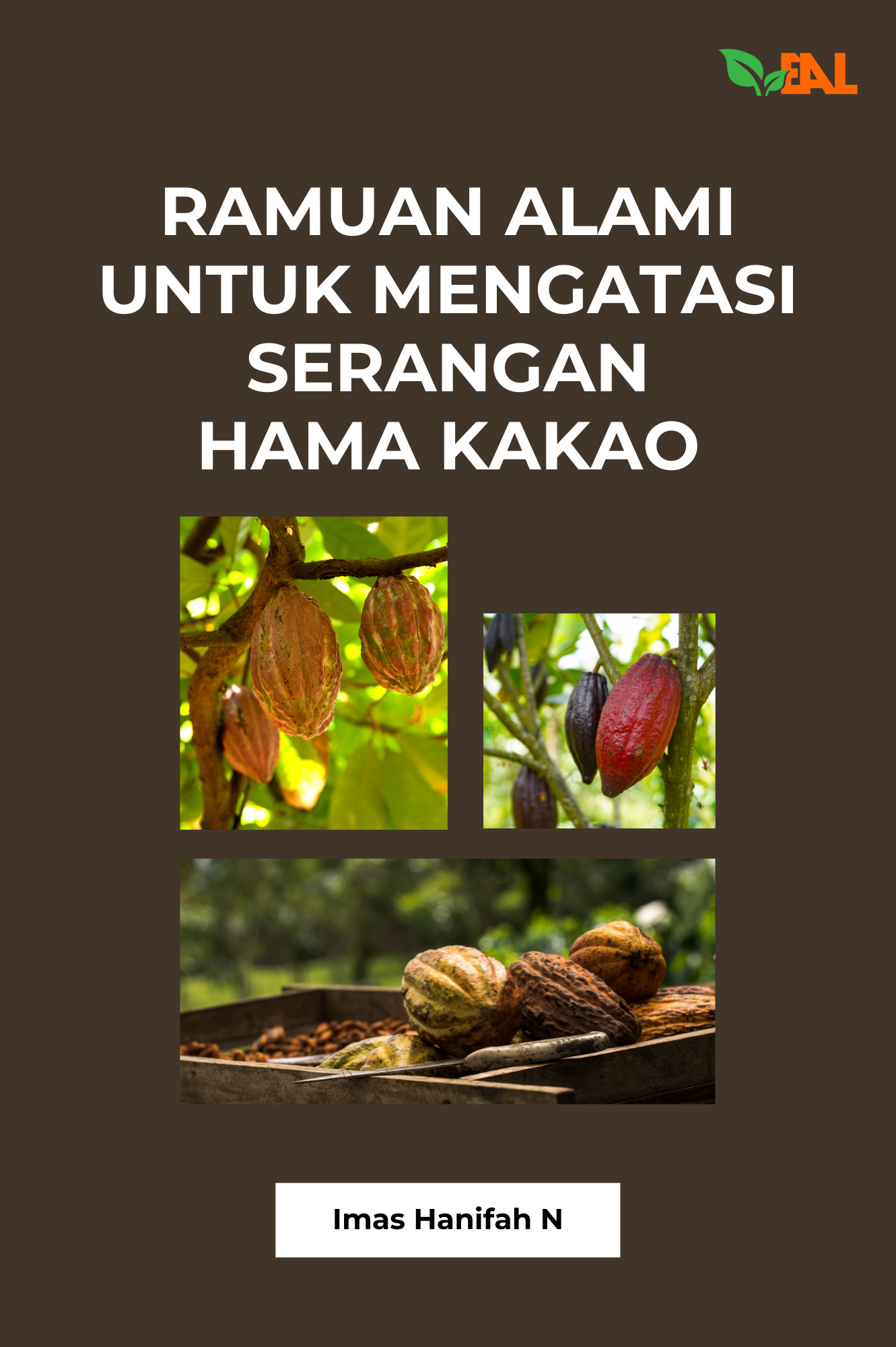 Ramuan Alami untuk Mengatasi Serangan Hama Kakao