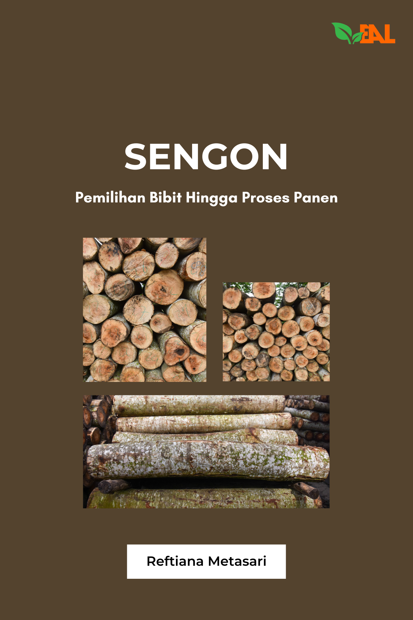 Sengon : Pemilihan Bibit Hingga Proses Panen