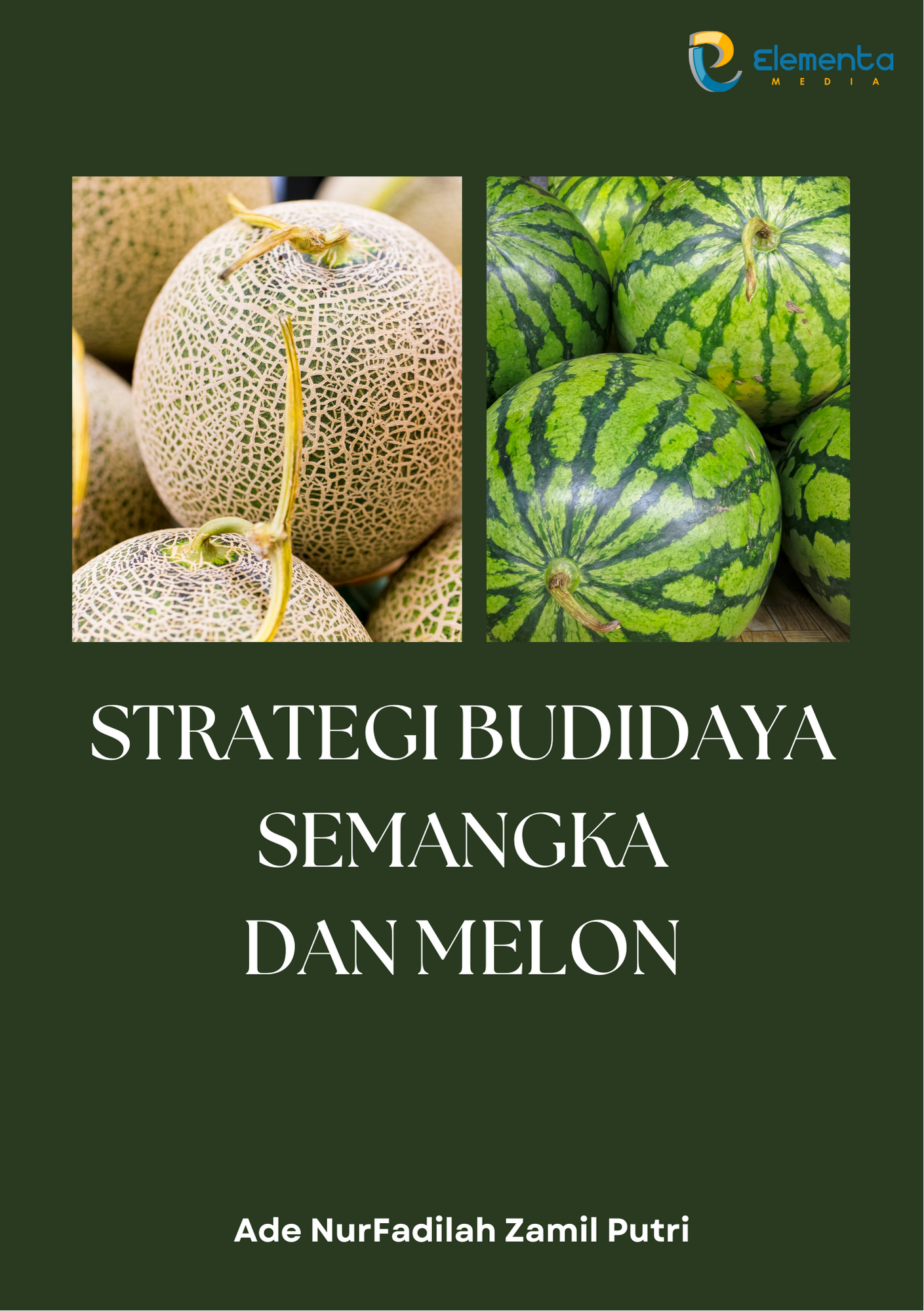 Strategi Budidaya Semangka dan Melon