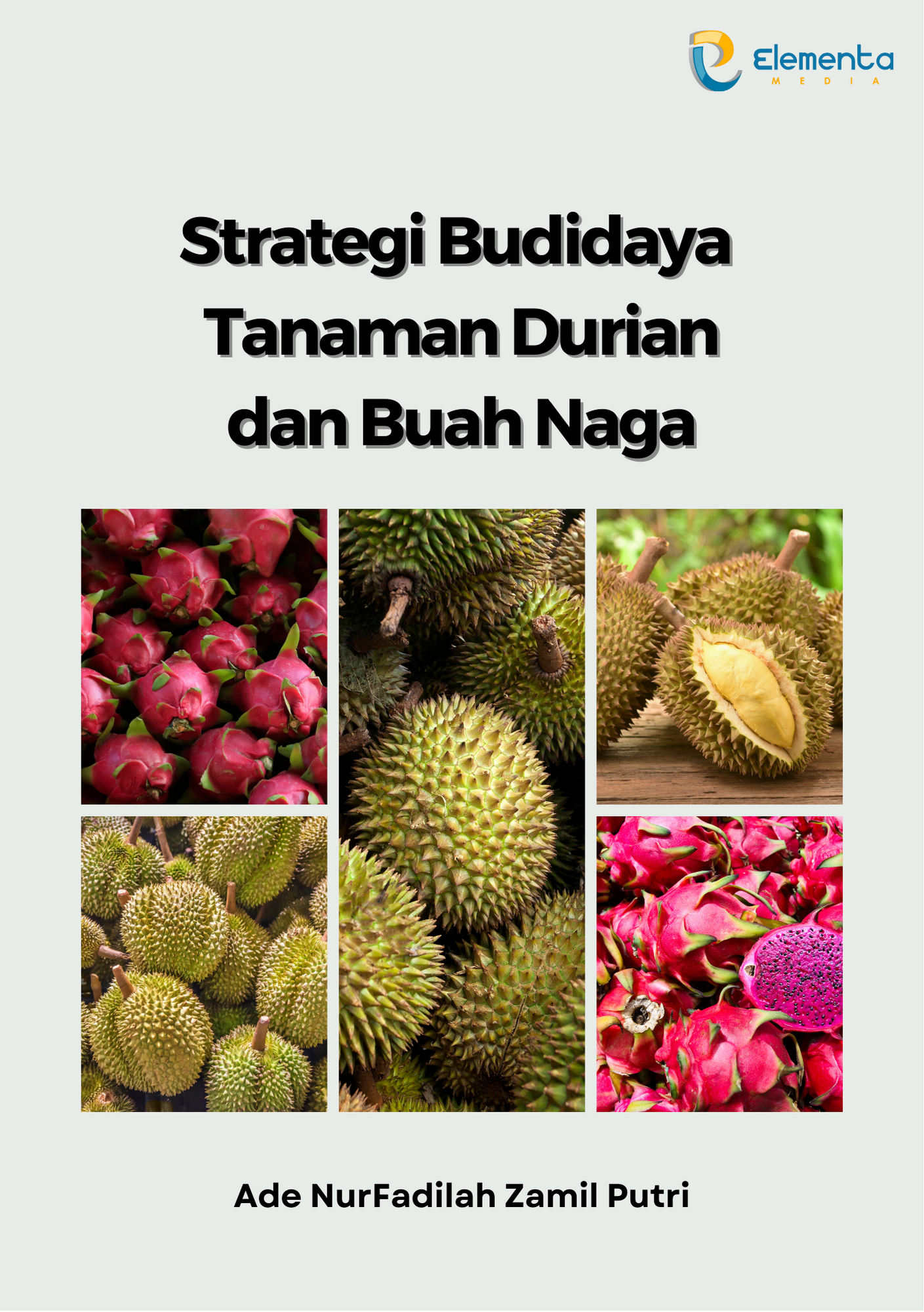 Strategi Budidaya Tanaman Durian dan Buah Naga