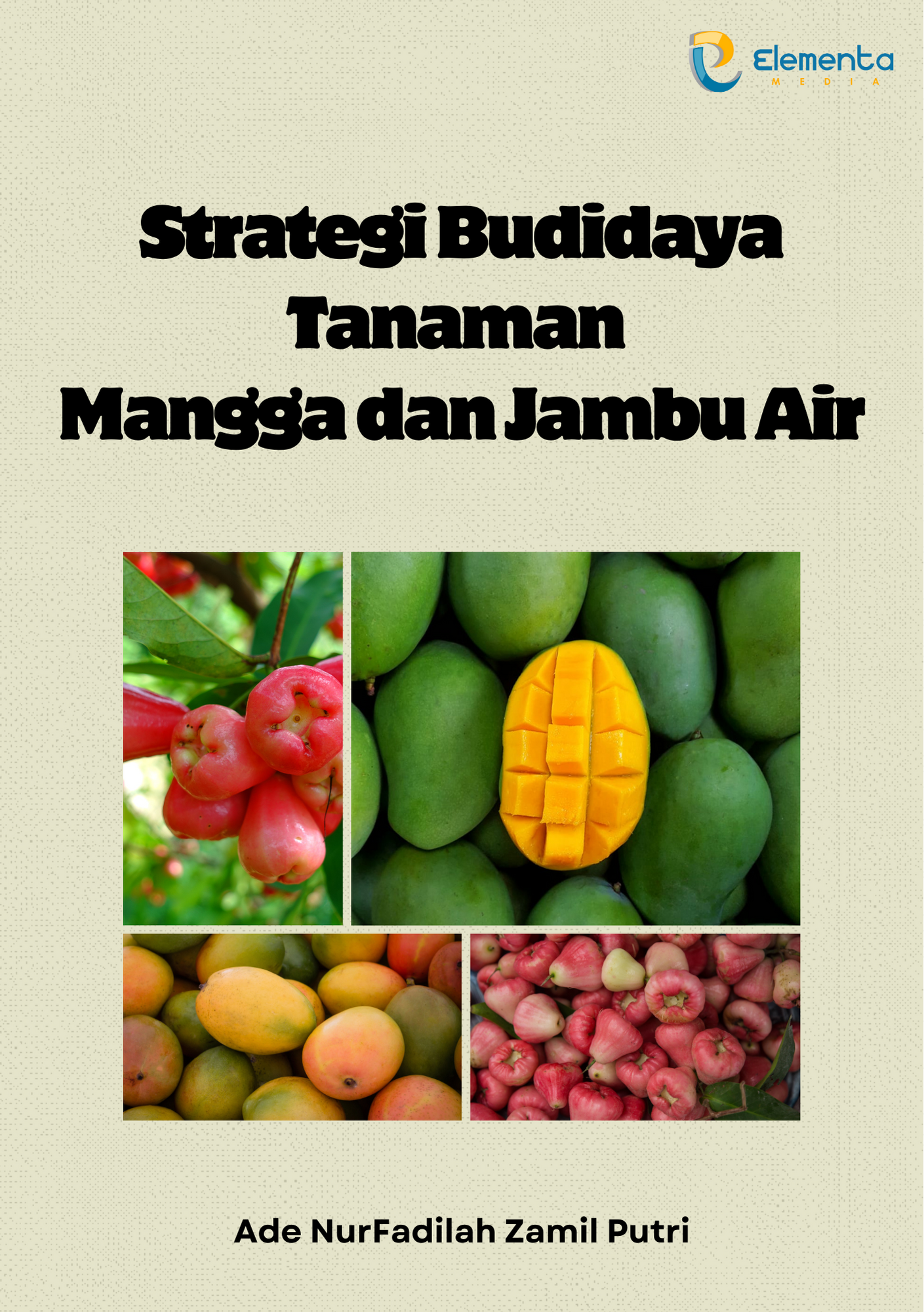 Strategi Budidaya Tanaman Mangga dan Jambu Air