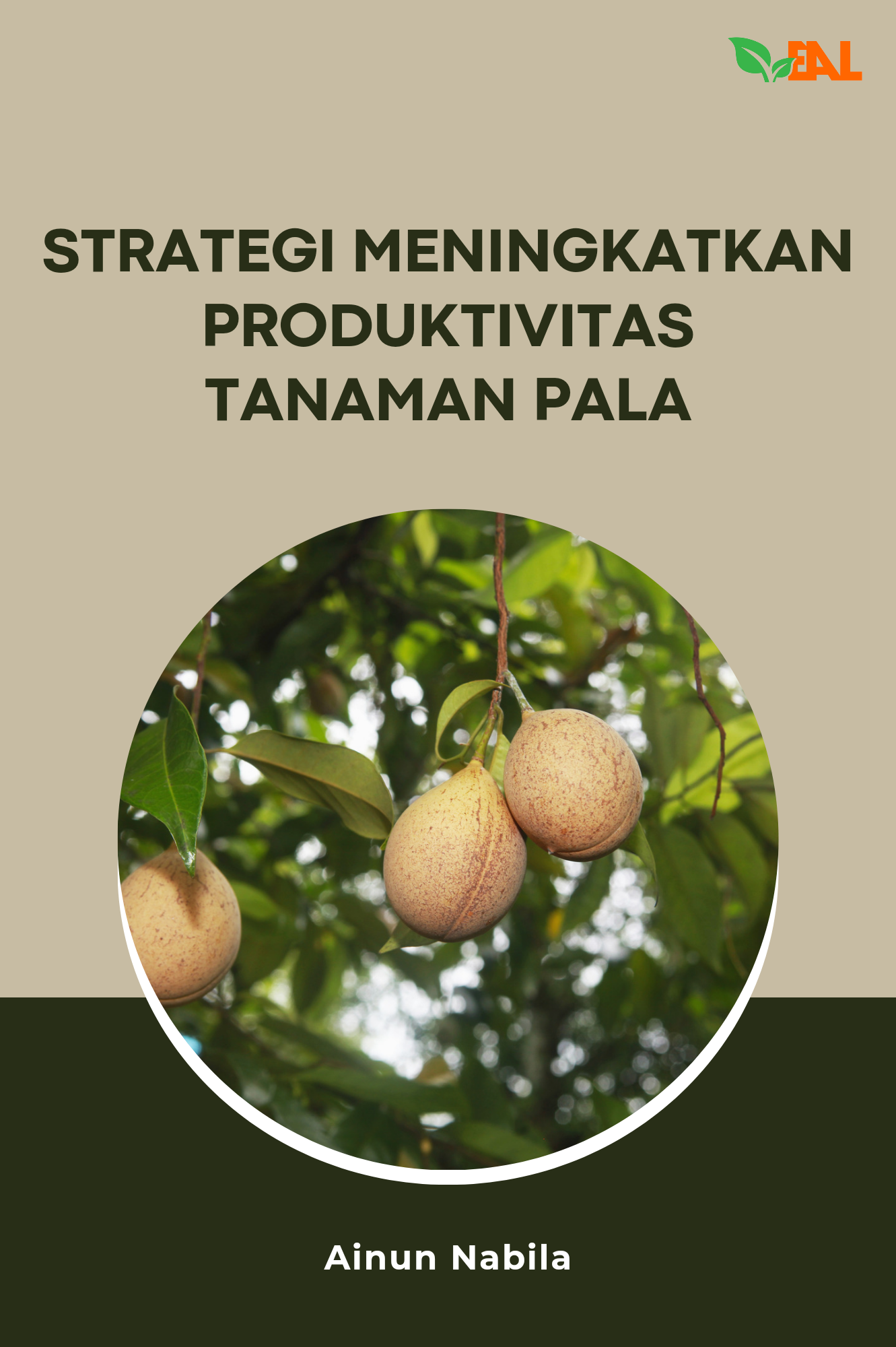 Strategi Meningkatkan Produktivitas Tanaman Pala