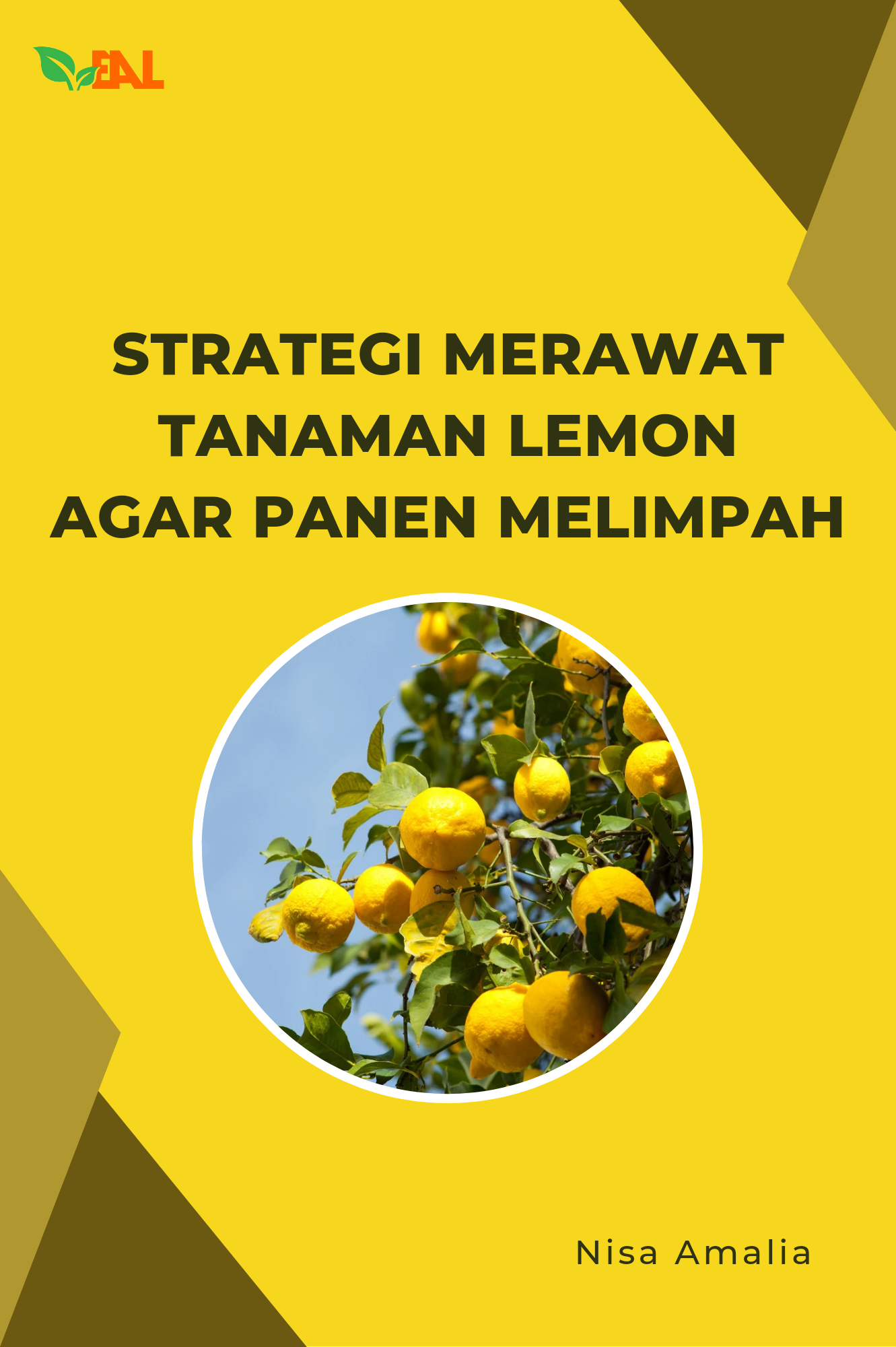 Strategi Merawat Tanaman Lemon Agar Panen Melimpah