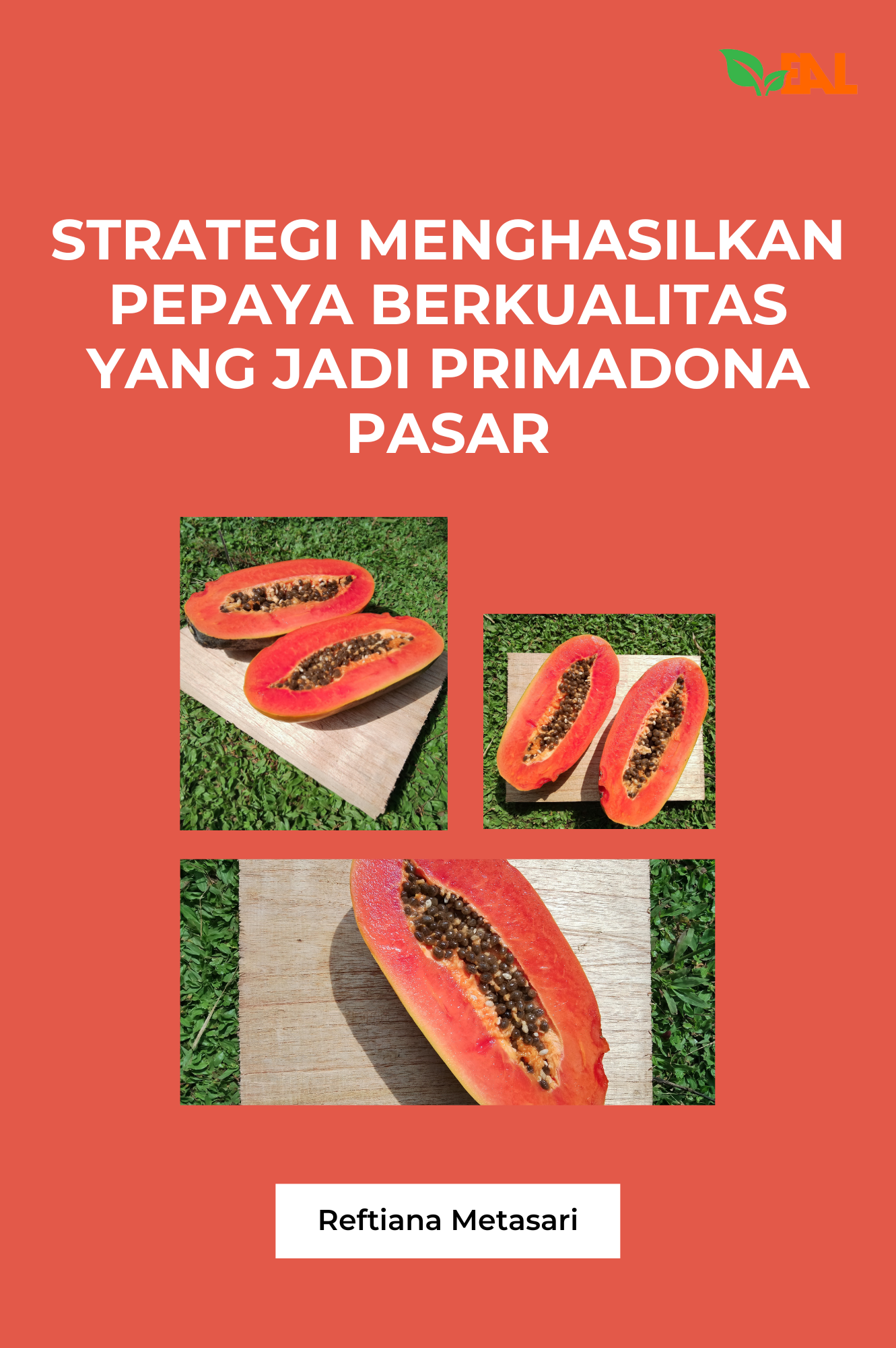 Strategi Menghasilkan Pepaya Berkualitas yang Jadi Primadona Pasar