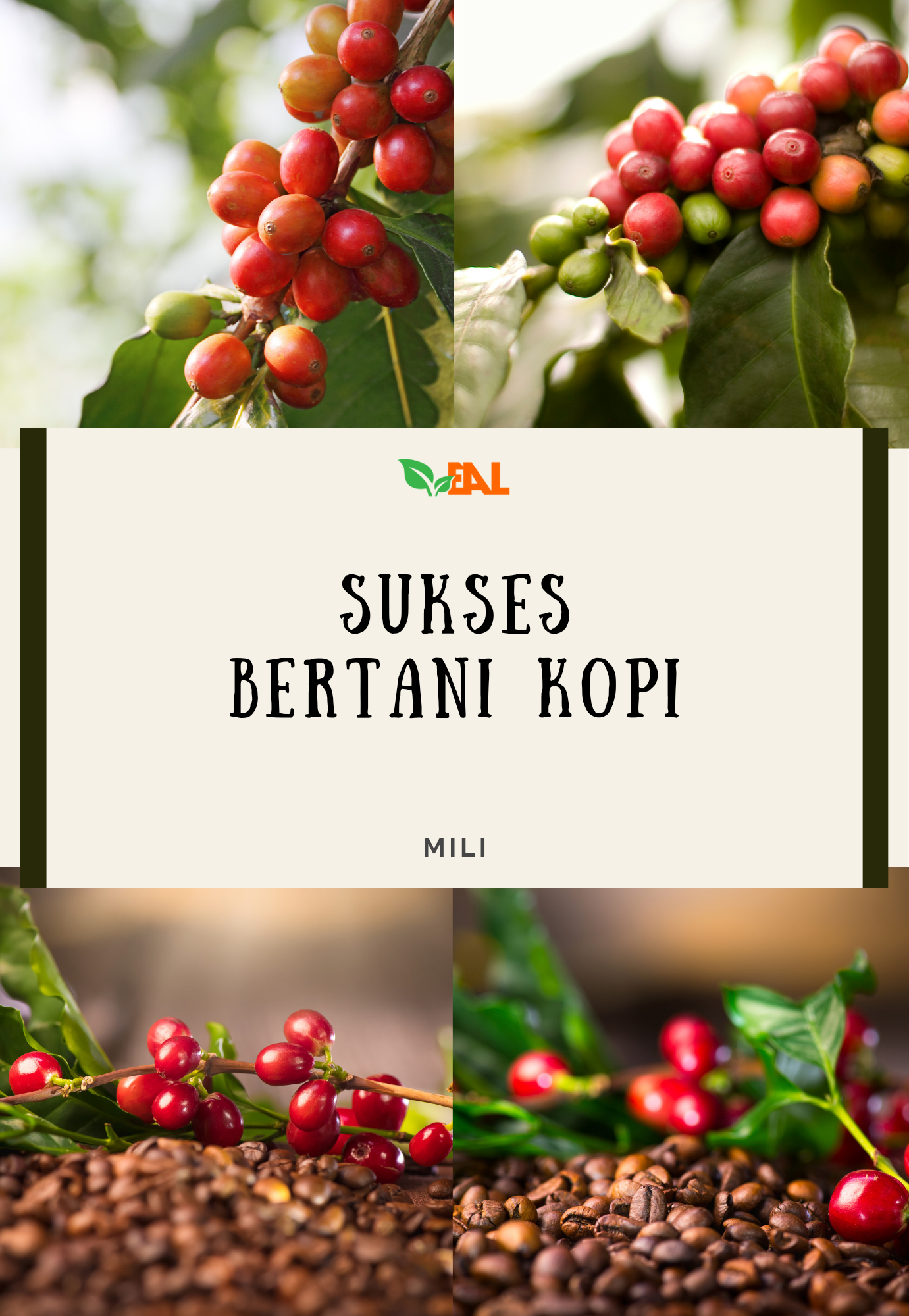Sukses Bertani Kopi