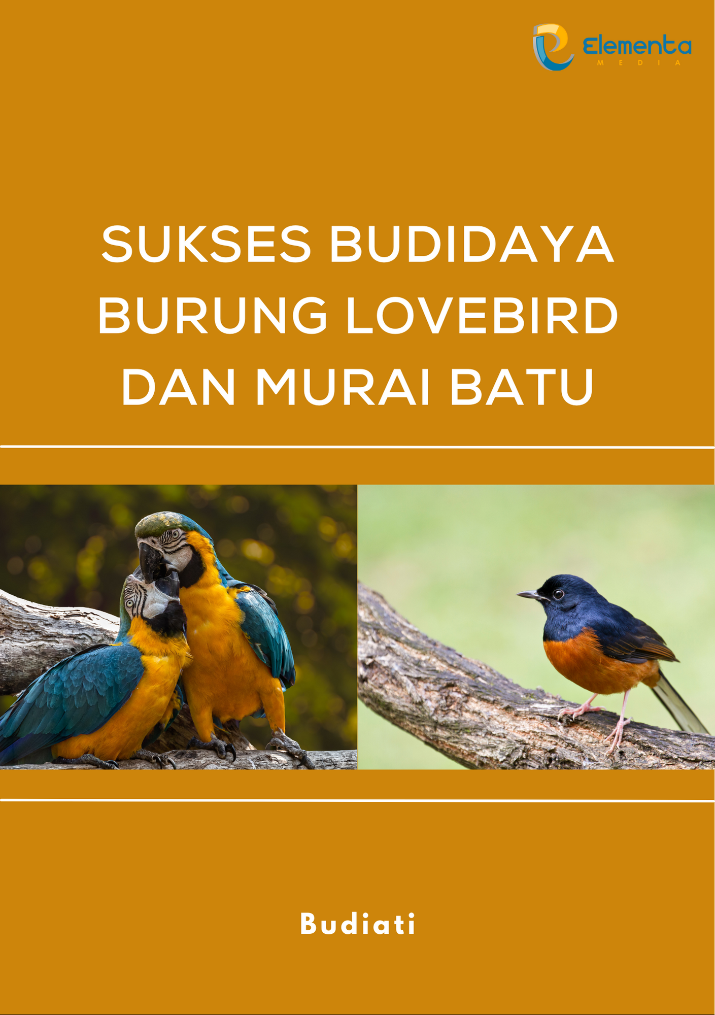 Sukses Budidaya Burung Lovebird dan Murai Batu