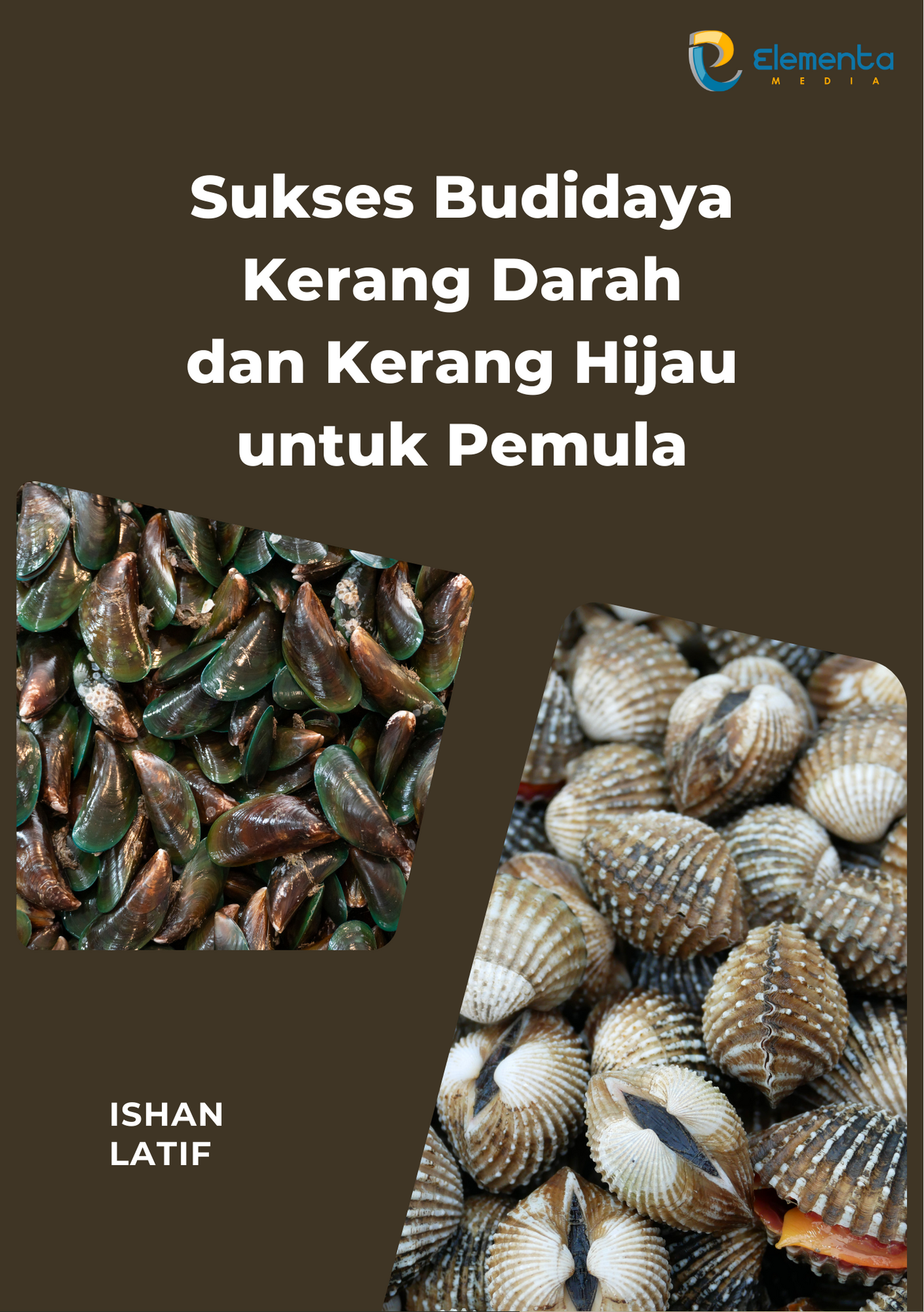 Sukses Budidaya Kerang Darah dan Kerang Hijau untuk Pemula