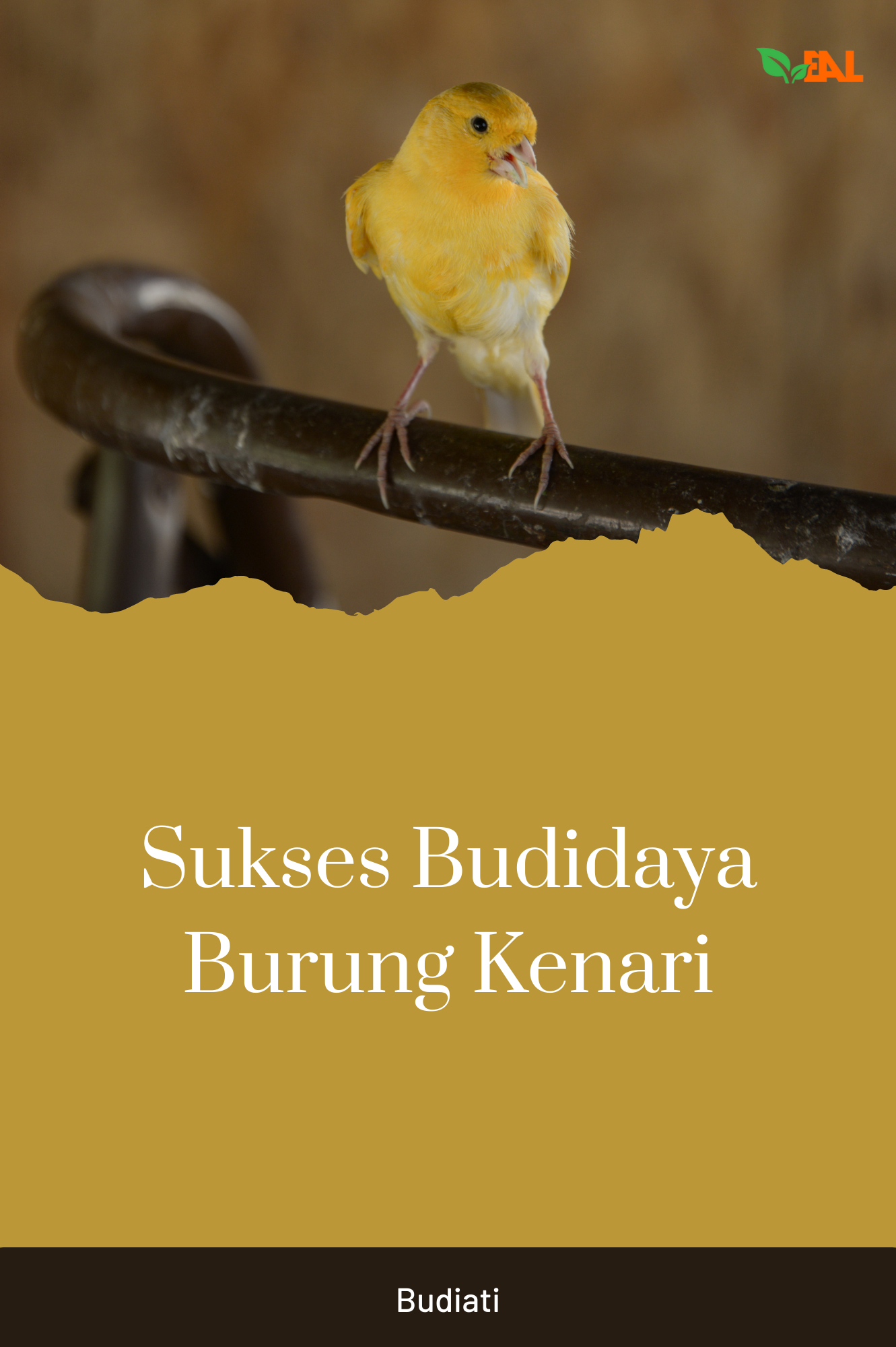 Sukses Budidaya Burung Kenari