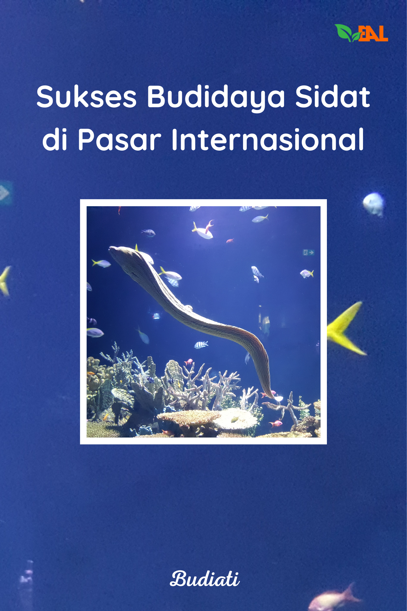 Sukses Budidaya Sidat di Pasar Internasional