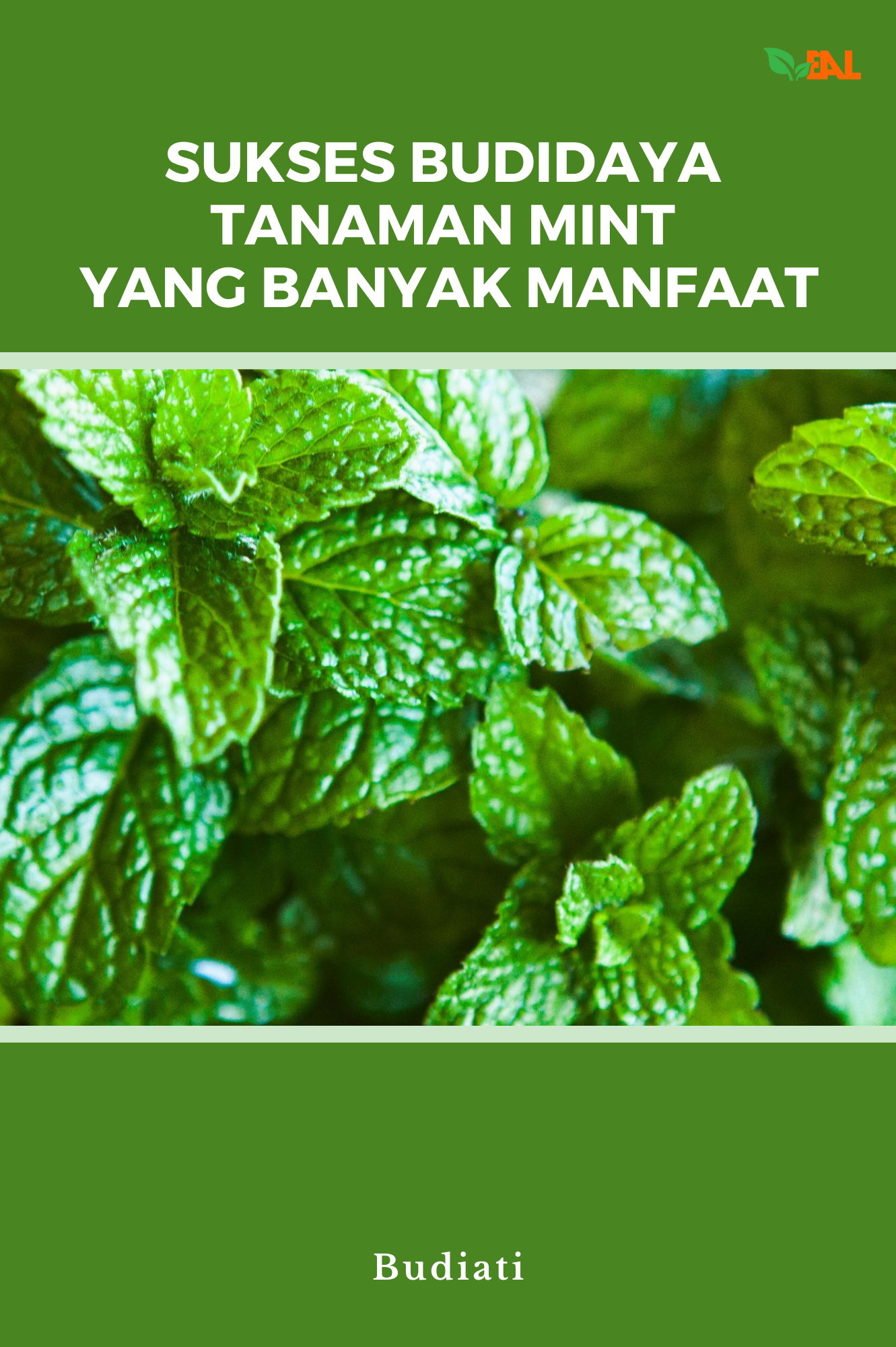 Sukses Budidaya Tanaman Mint yang Banyak Manfaat